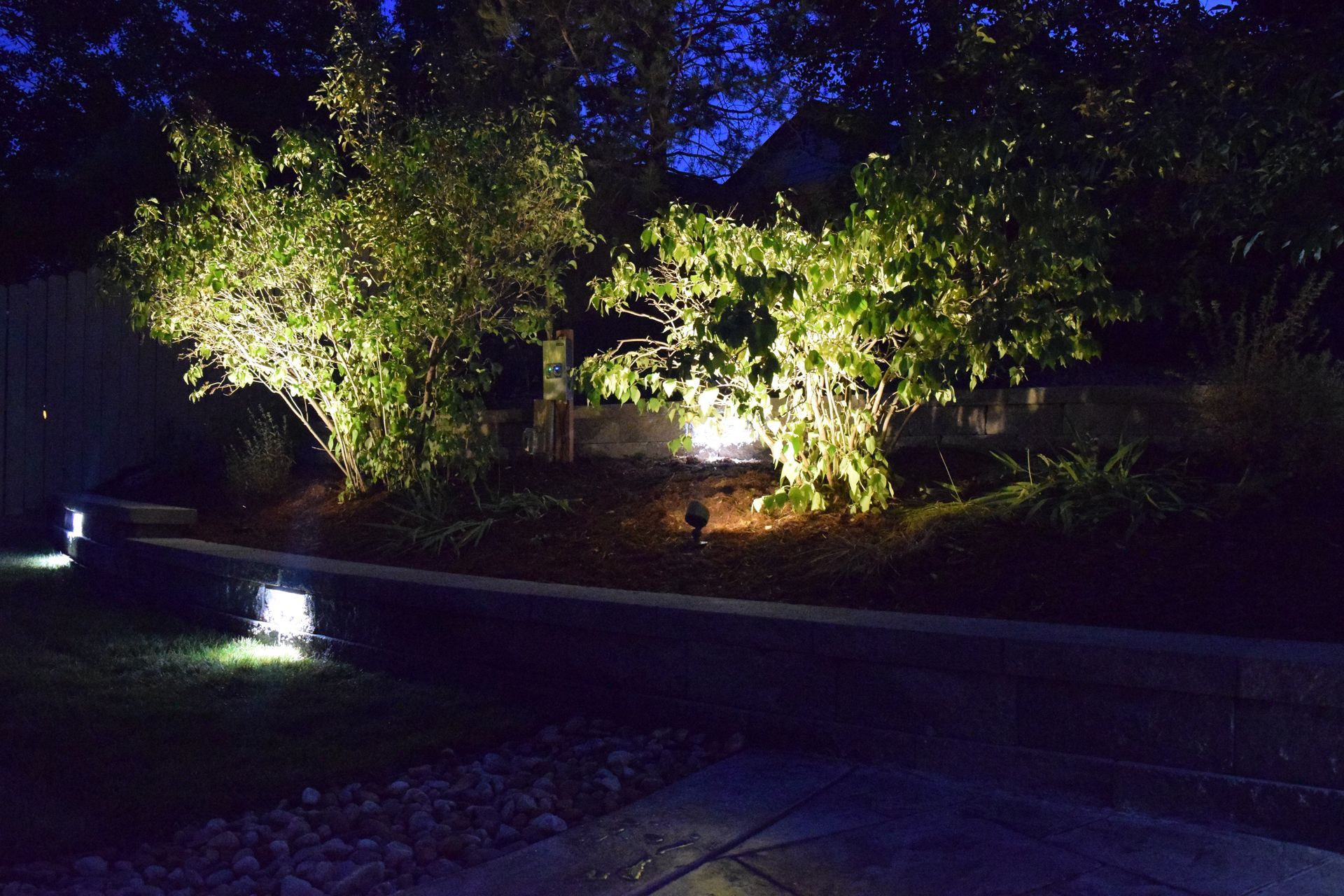 Night view of landscape with trees illuminated by spotlights, path and ground lights.