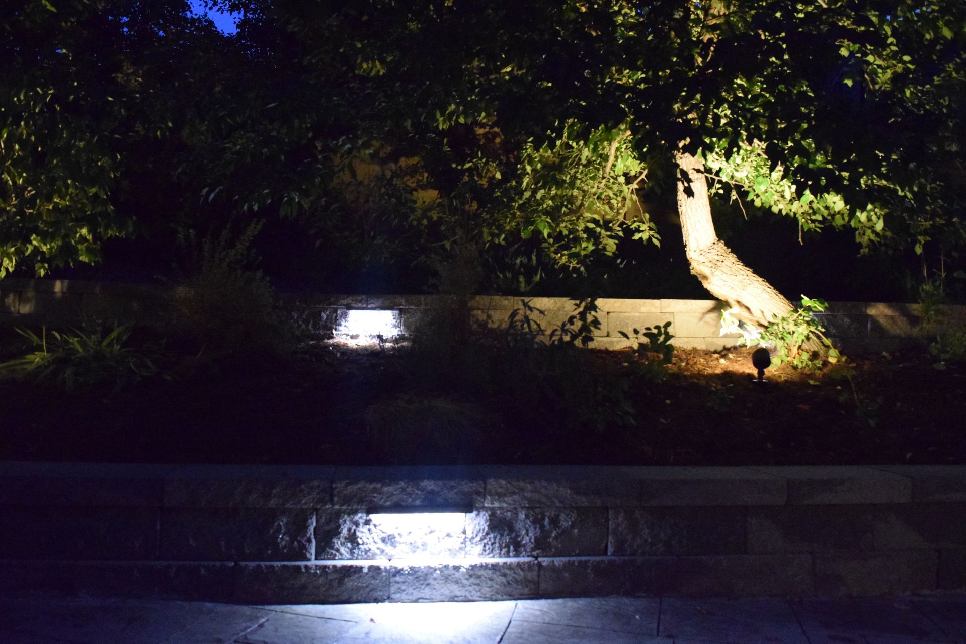 Landscape illuminated at night, including trees, a retaining wall, and lights along a pathway.
