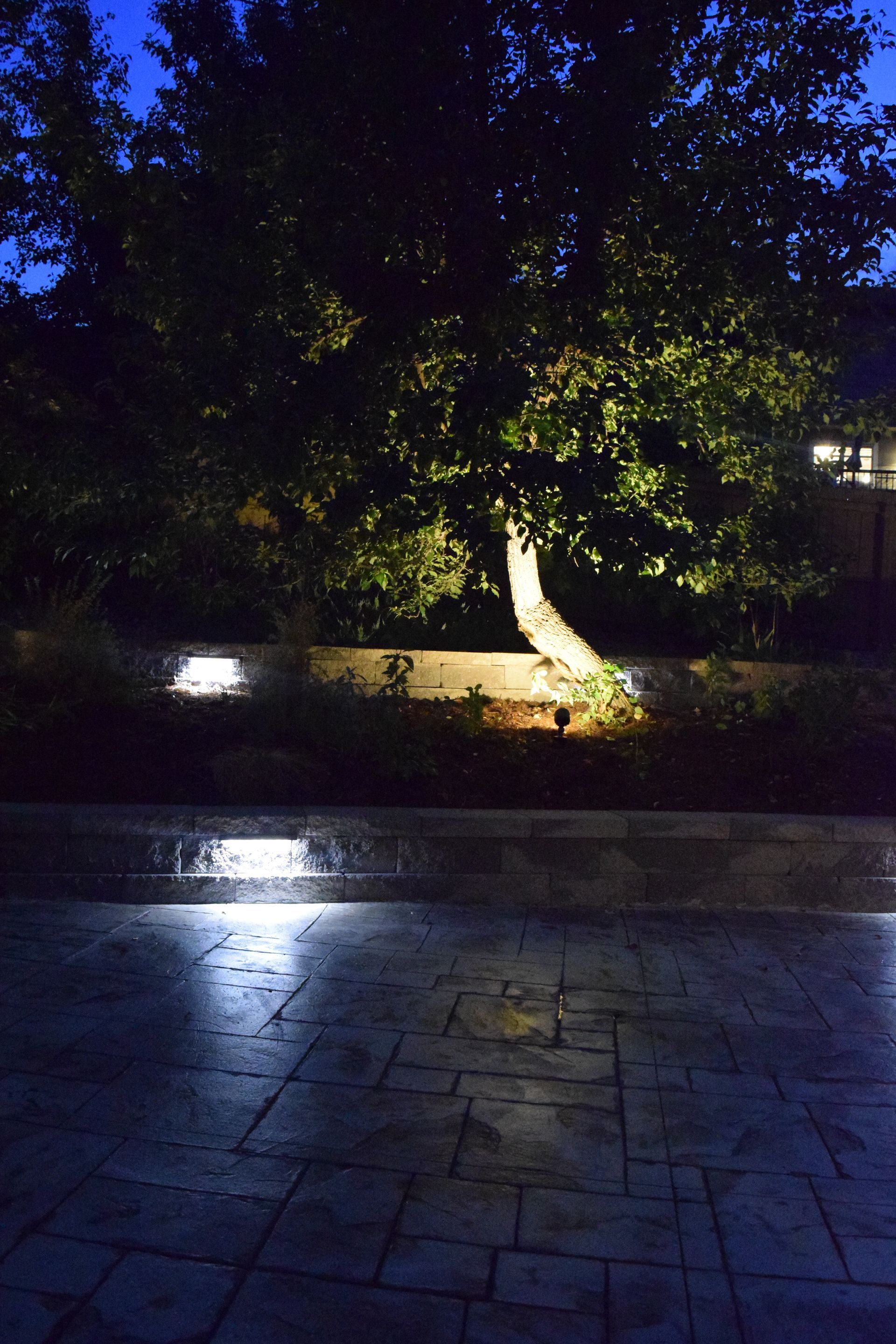Outdoor scene at night with lit tree and patio, spotlighting.