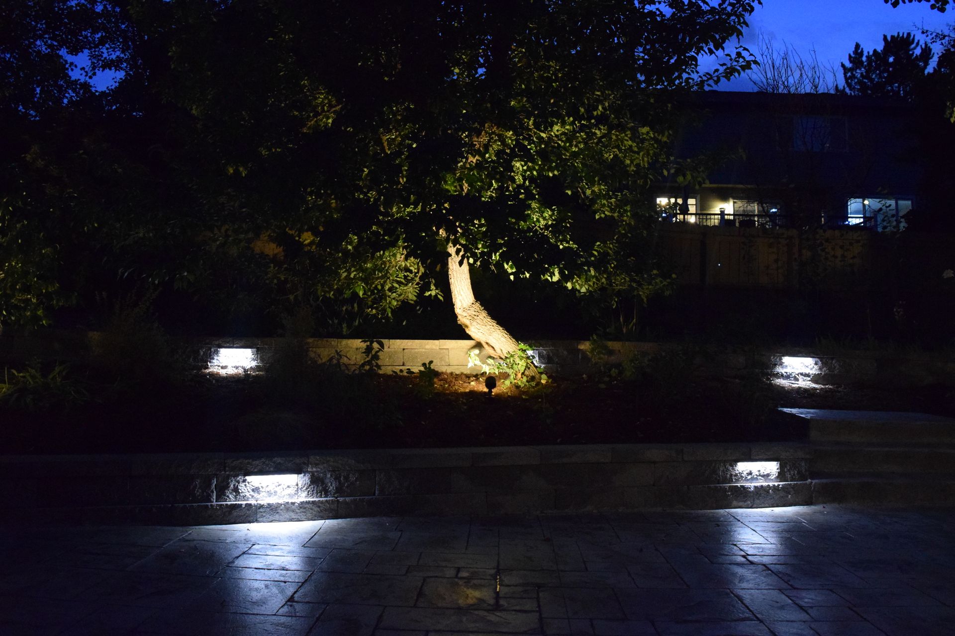 Nighttime outdoor scene: spotlights illuminate a tree in a raised garden bed with square lights on a dark patio.
