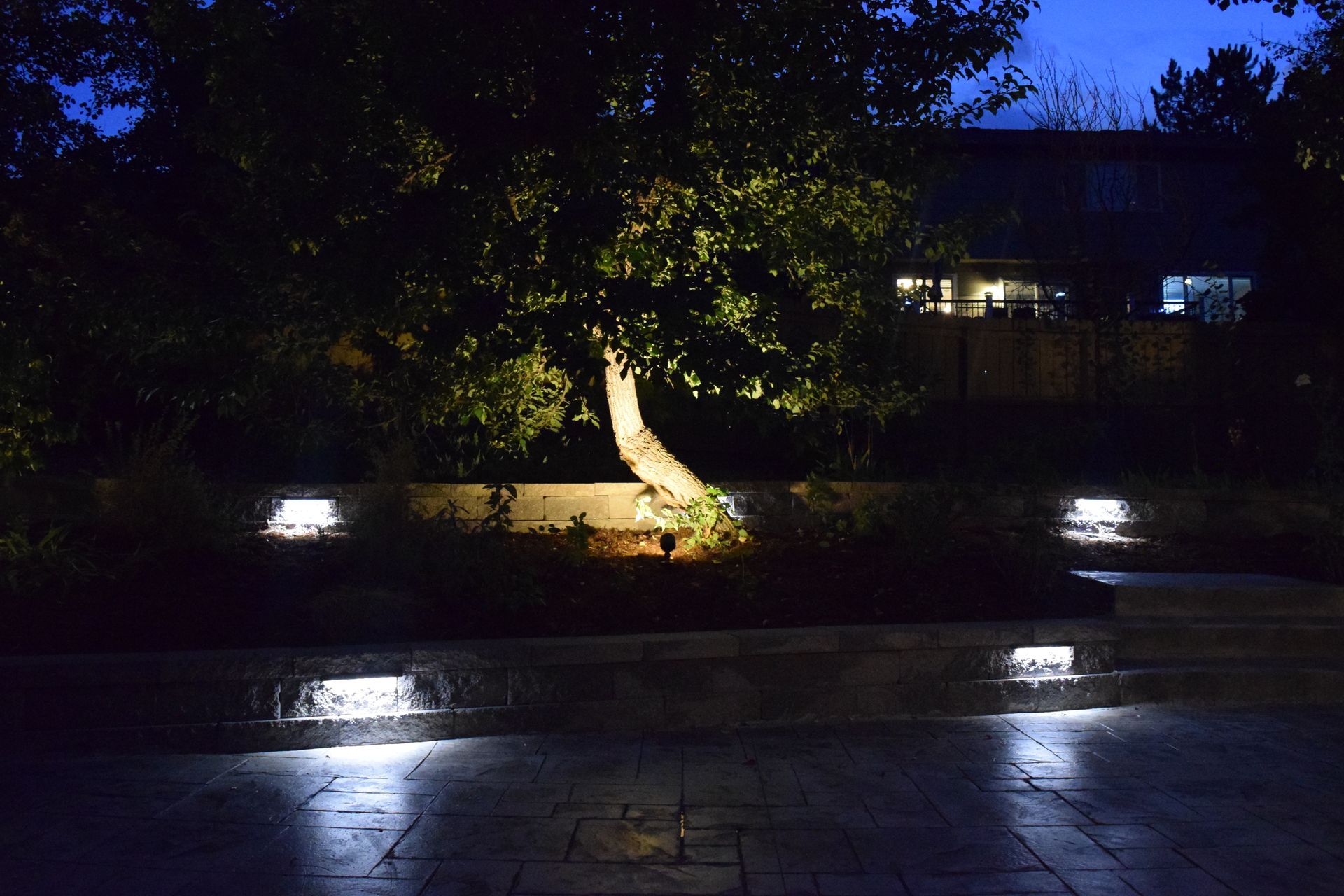 Nighttime view of a tree lit up by spotlights with small square lights illuminating a stone patio.