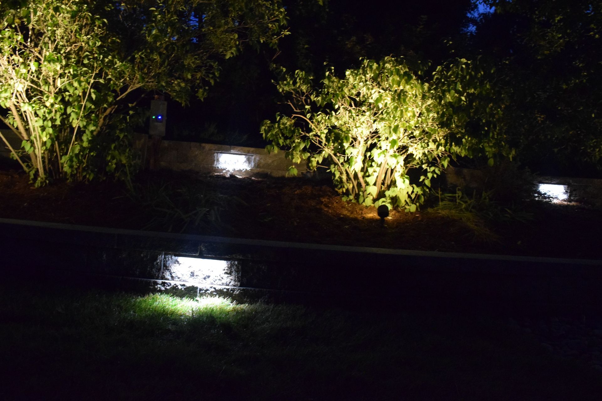 Nighttime view of illuminated landscaping. Ground lights brighten bushes and a low wall, creating a nighttime garden scene.
