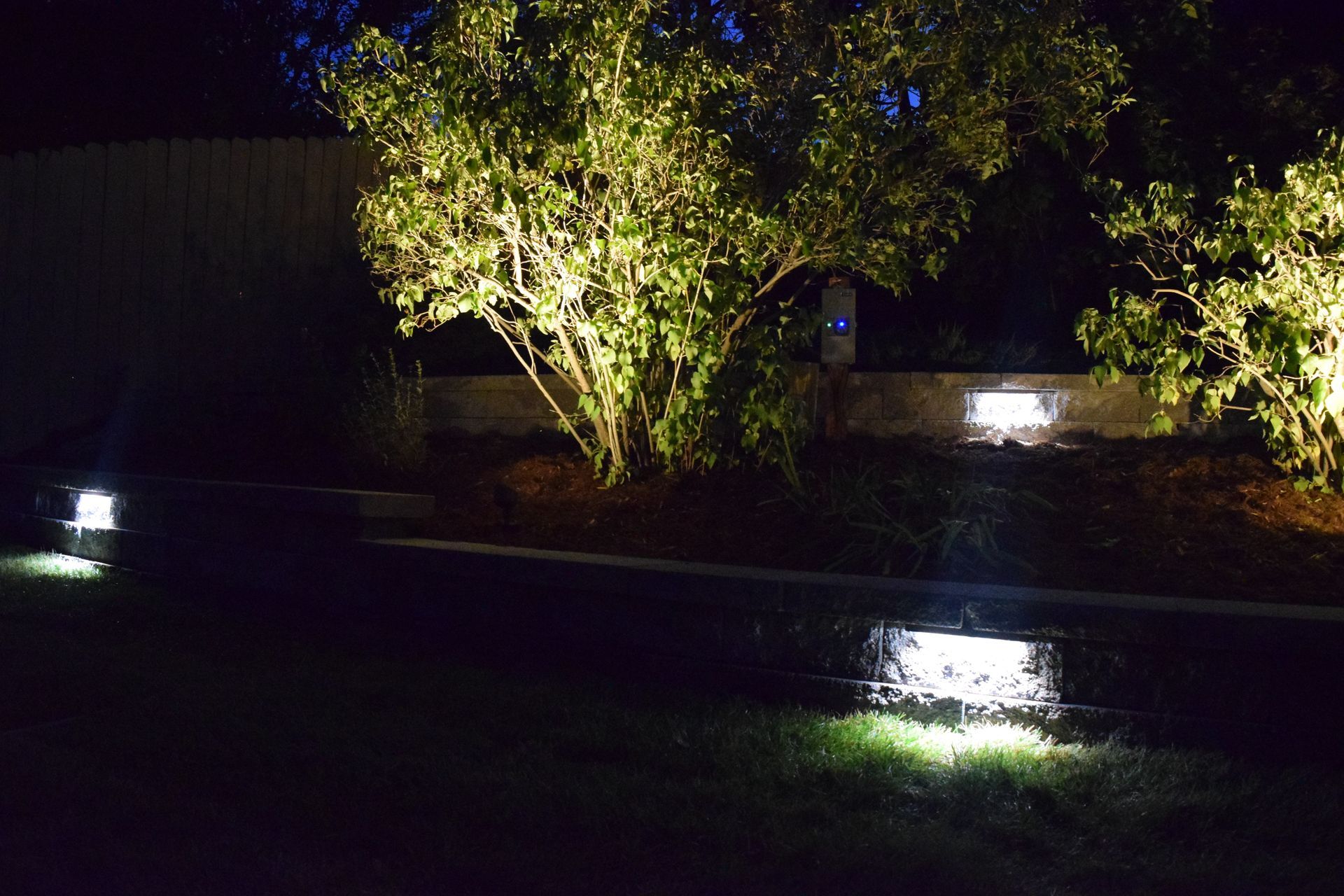 Nighttime shot of a yard with landscape lighting. Lights illuminate the grass and bushes, a fence is in the background.
