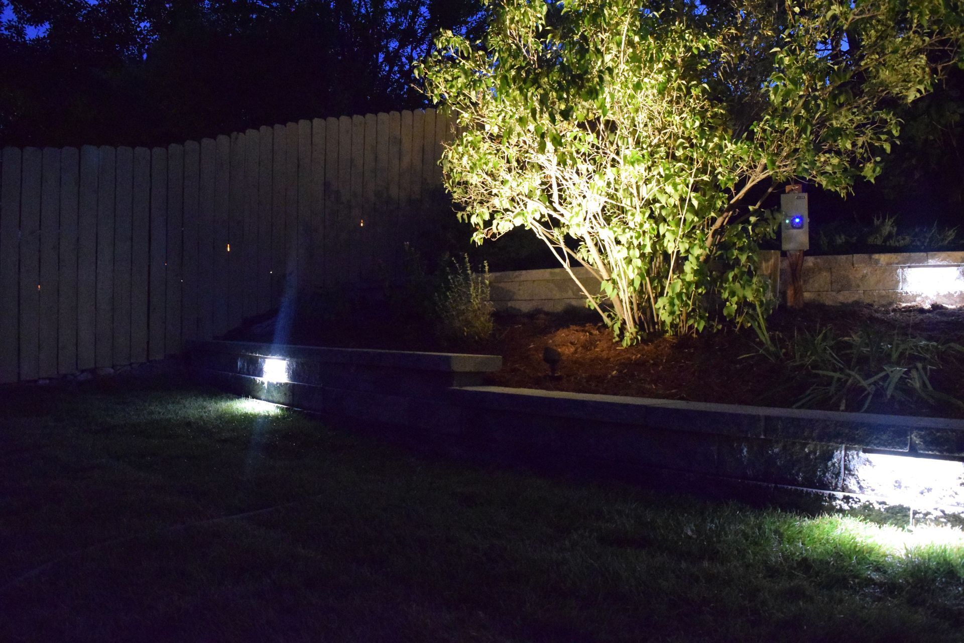 Nighttime outdoor scene with illuminated tree and ground lighting along a retaining wall and wooden fence.