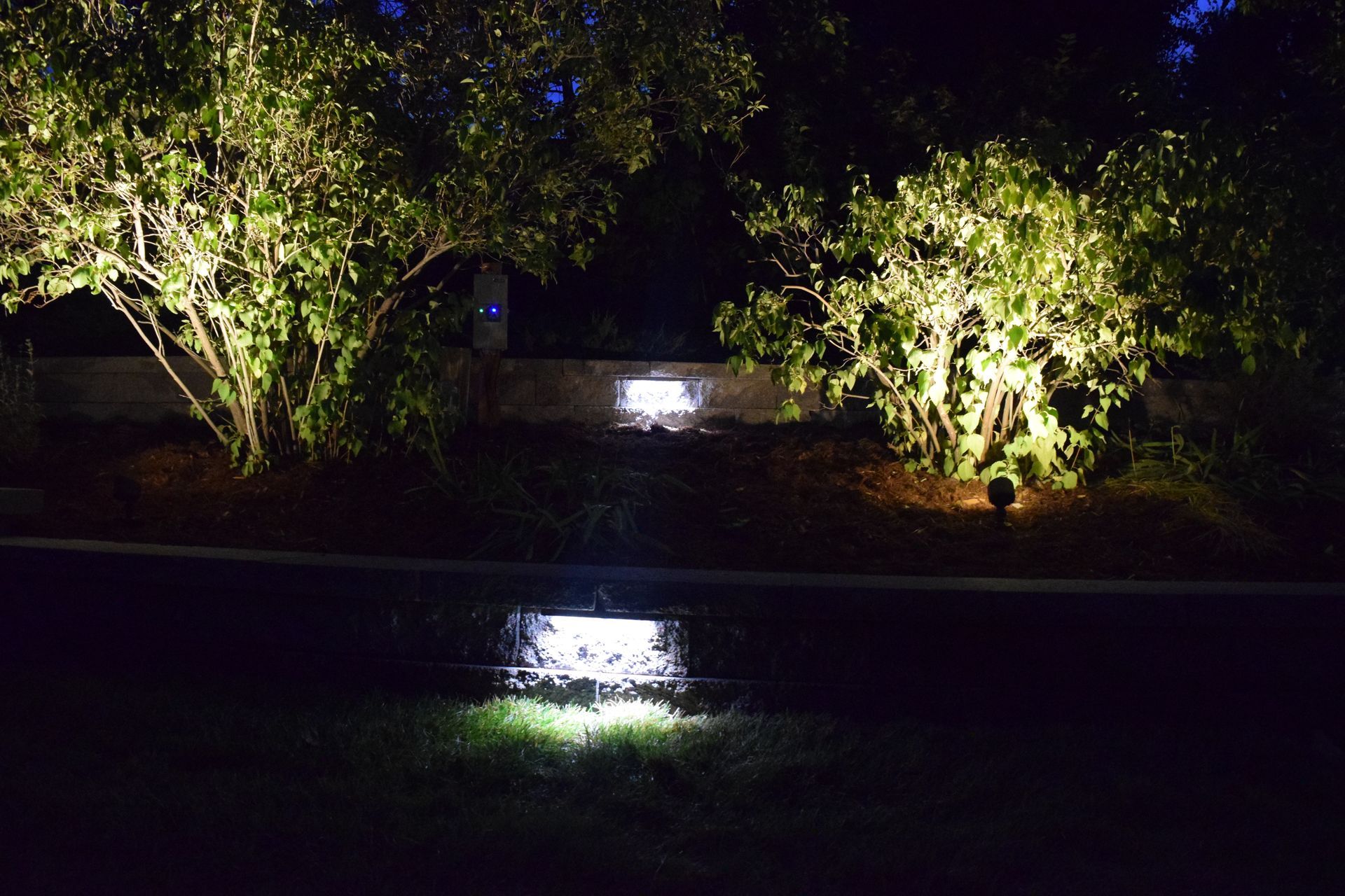 Nighttime scene of illuminated bushes and ground lights along a roadside, creating a glowing effect.