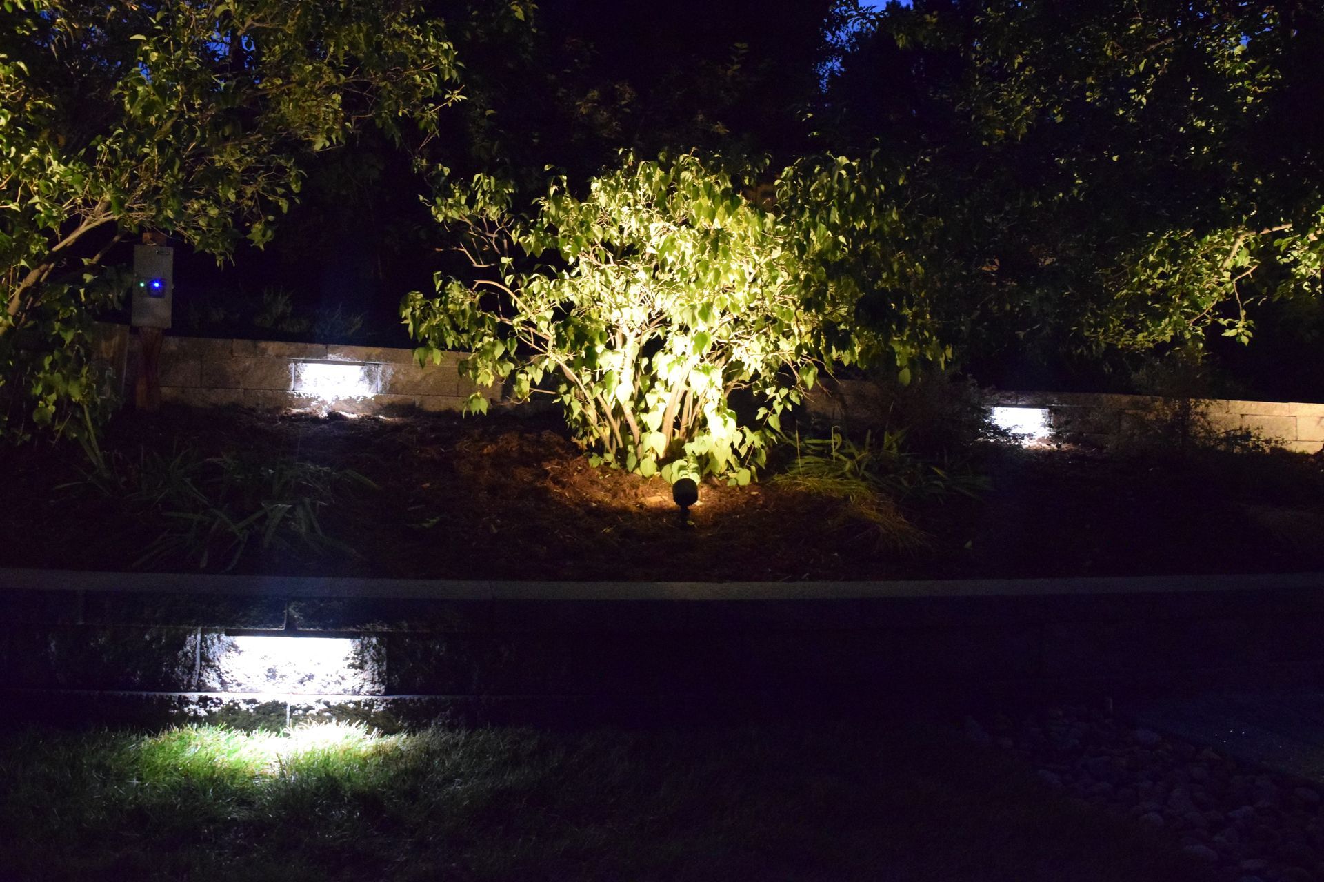 Nighttime shot of illuminated landscaping with plants and lights.