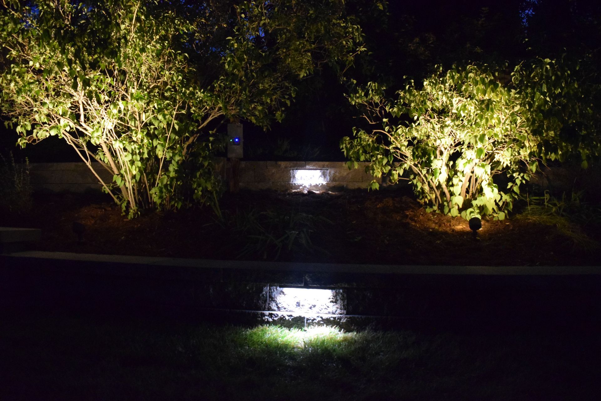 Nighttime view of illuminated landscaping: bushes and ground lights casting a warm glow.