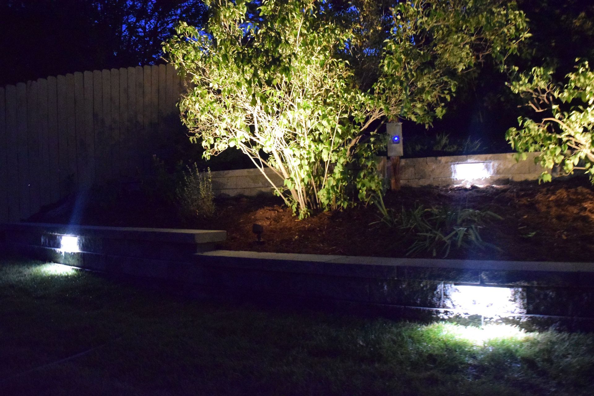 Nighttime view of a landscape with a shrub illuminated by spotlights on a retaining wall and ground.