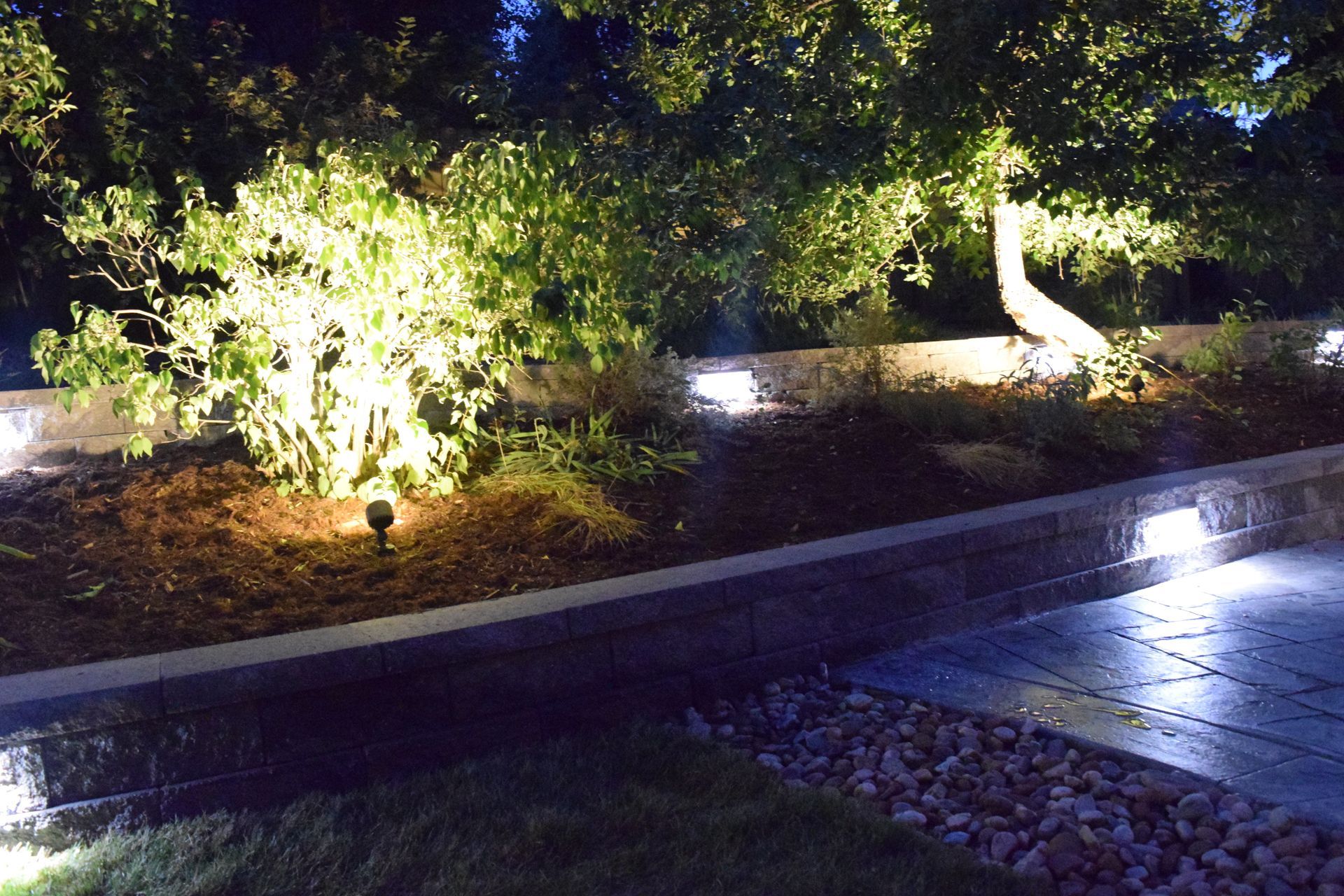 Nighttime landscape with illuminated trees, wall, and walkway.