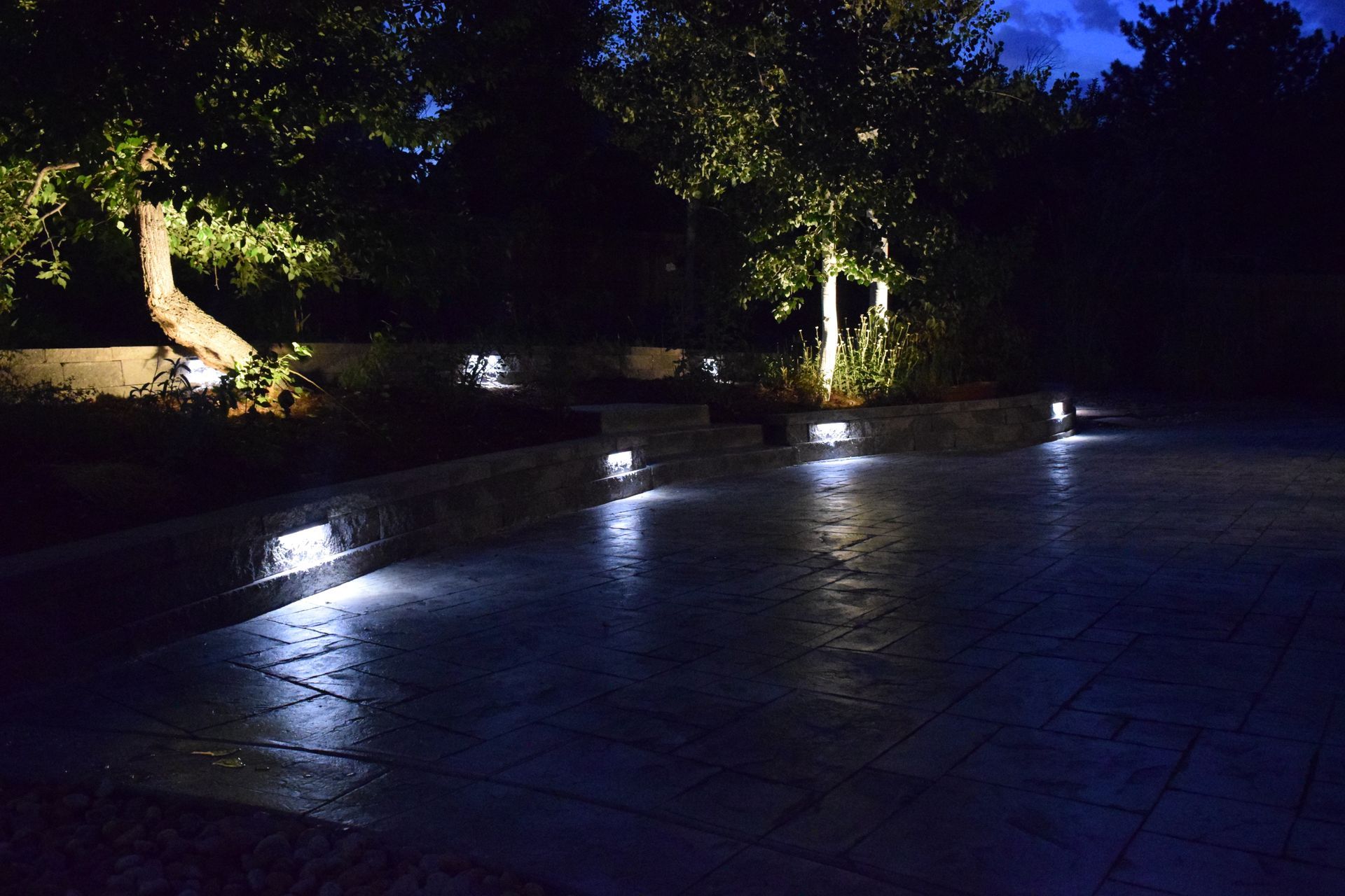 Night scene of a patio illuminated by ground and tree lights, with trees and a dark sky in the background.