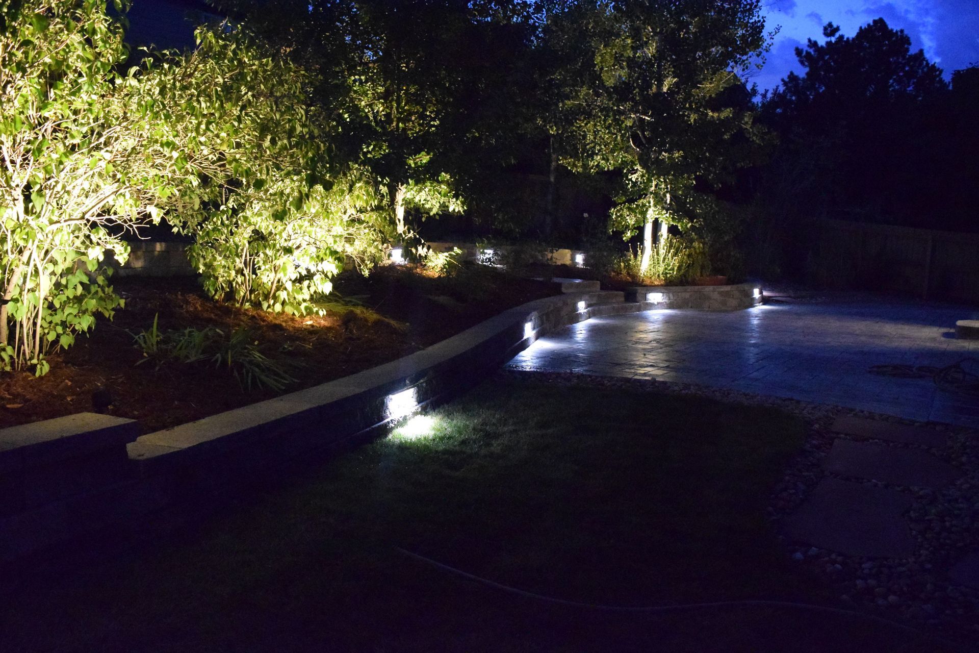 Nighttime outdoor scene with illuminated trees and a stone patio lit by ground-level lights.