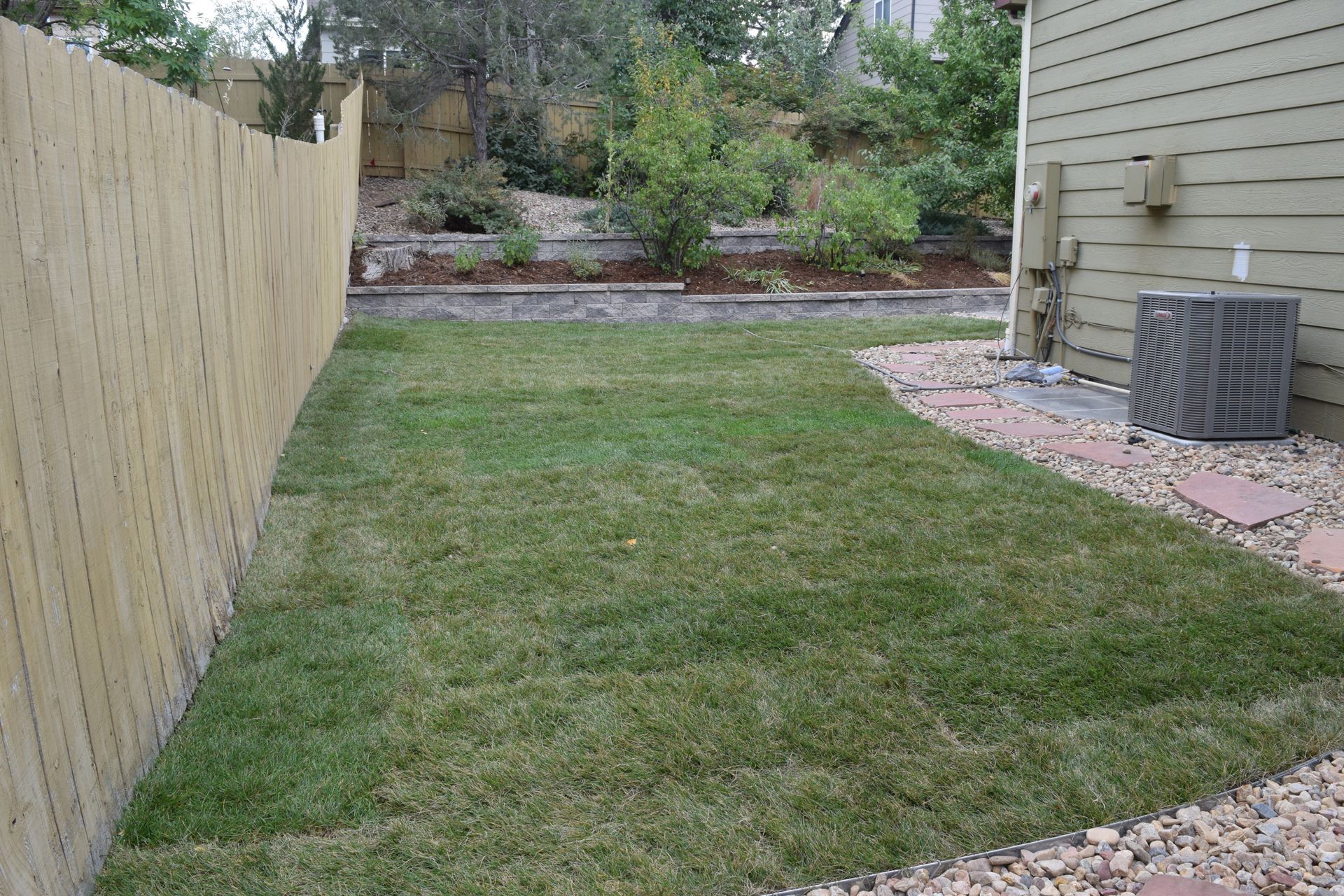 Lawn in a yard, bordered by a wooden fence and the side of a building.