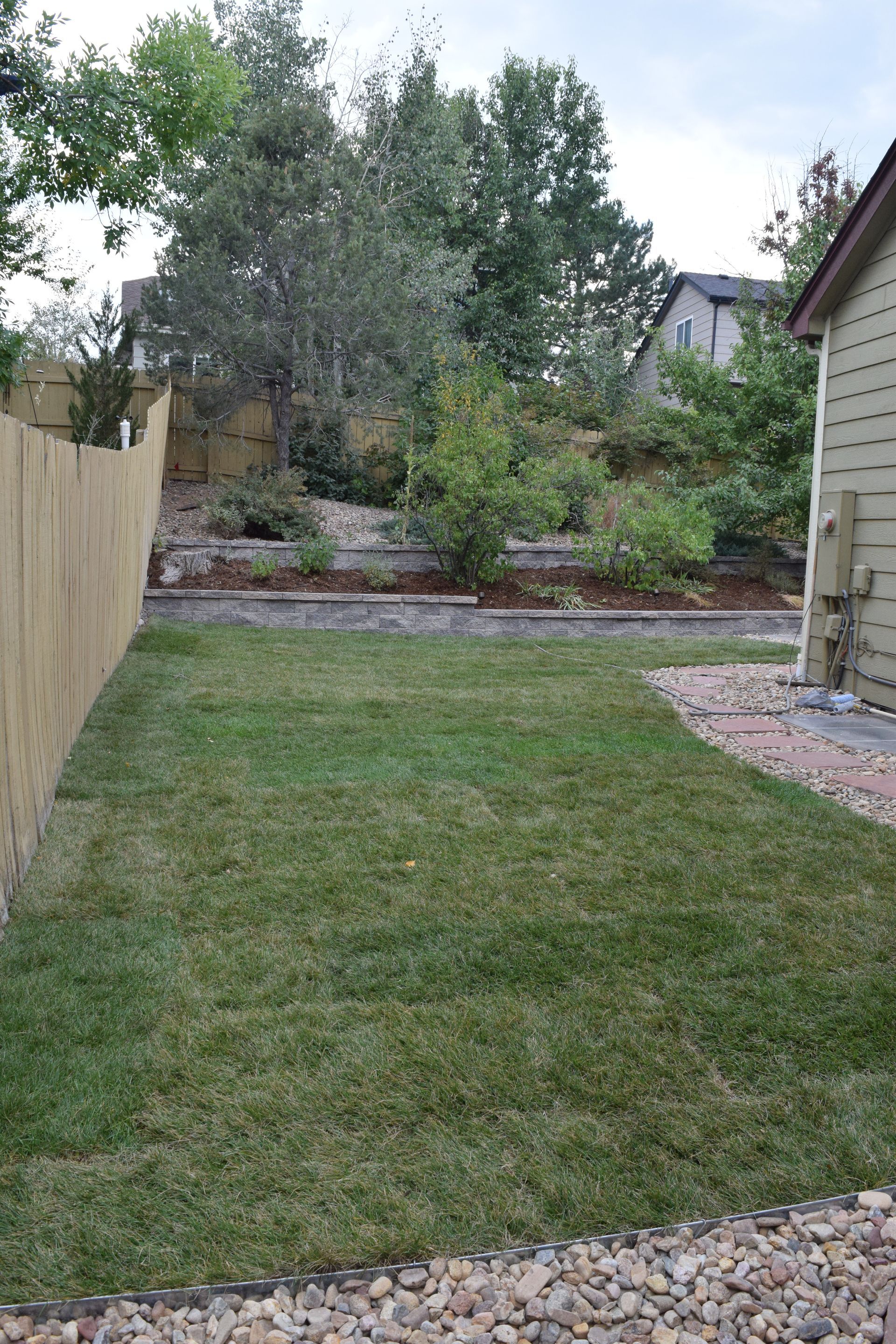 A backyard with green grass, a wooden fence, and a gravel border. Trees and a house are in the background.