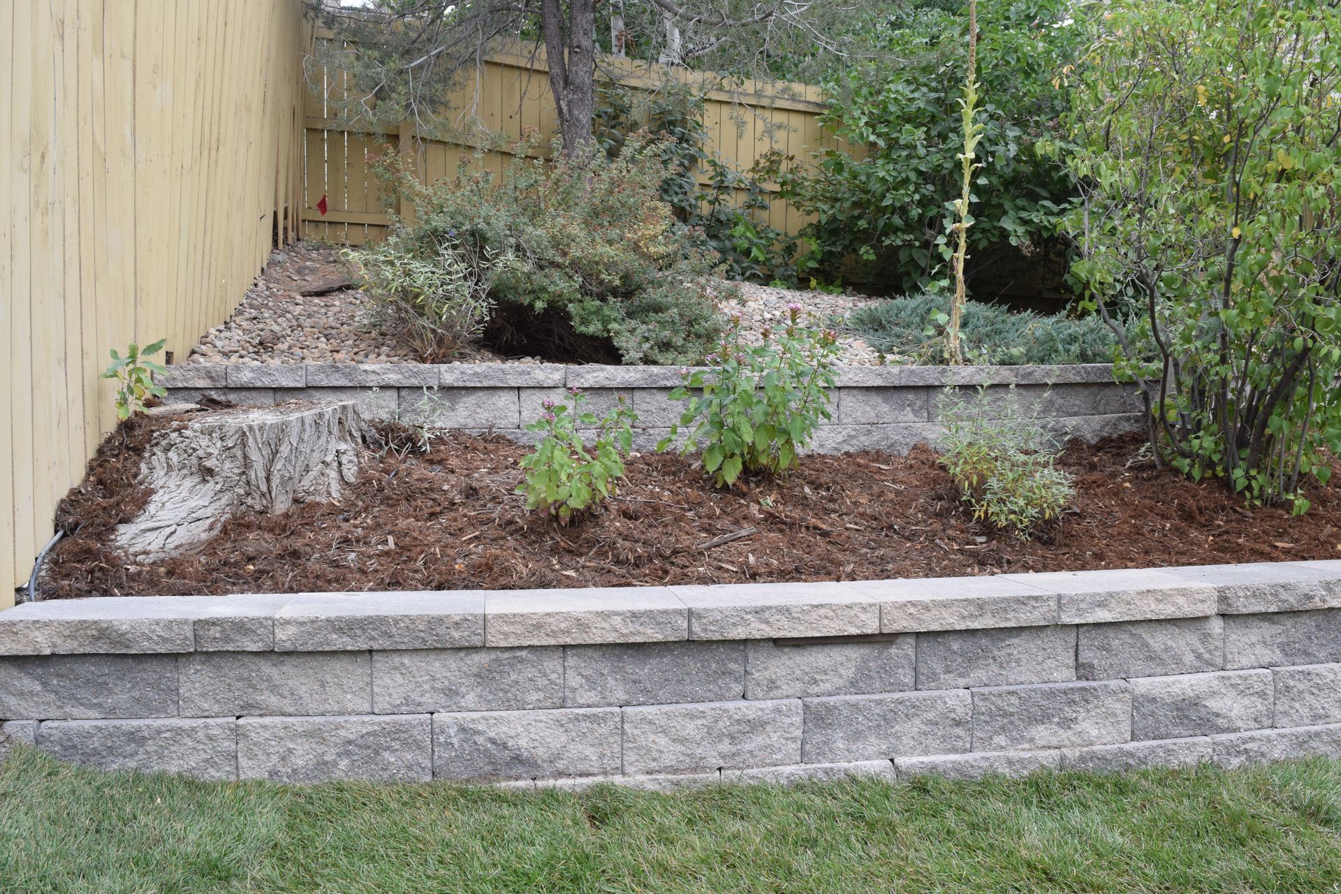 A tiered garden bed with stone walls, filled with mulch and plants, against a wooden fence.