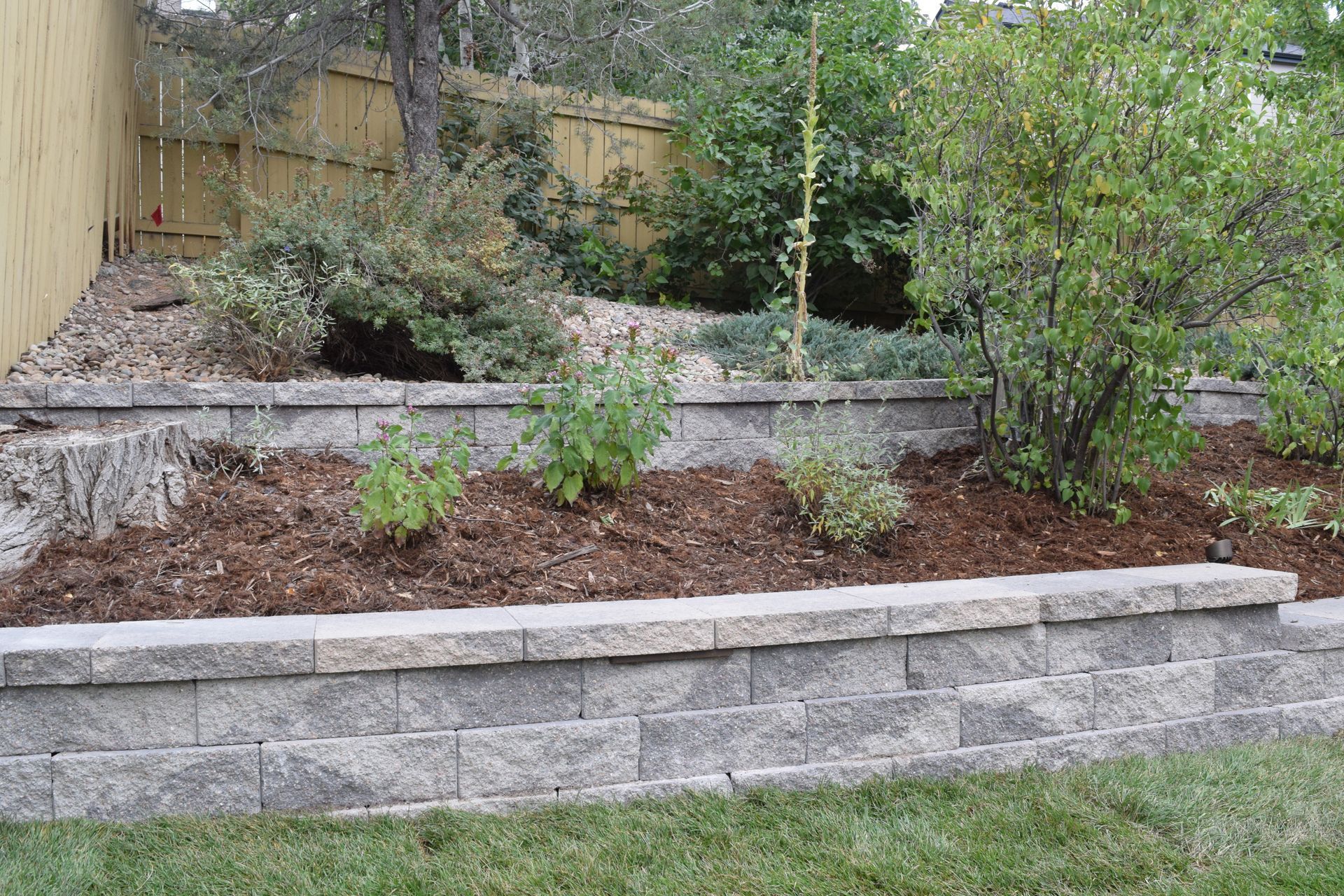 Retaining wall with tiered garden beds. Brown mulch, green plants, and a wooden fence.
