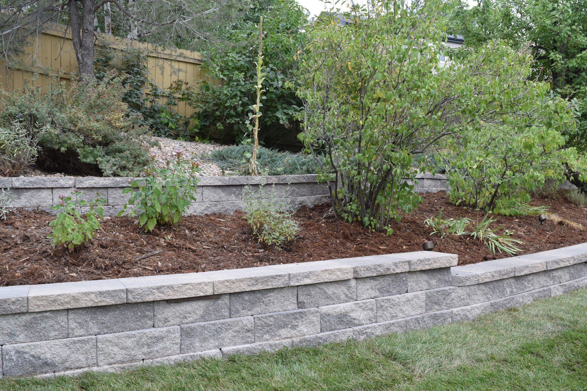 A terraced garden bed with a retaining wall filled with plants and mulch, near a fence.