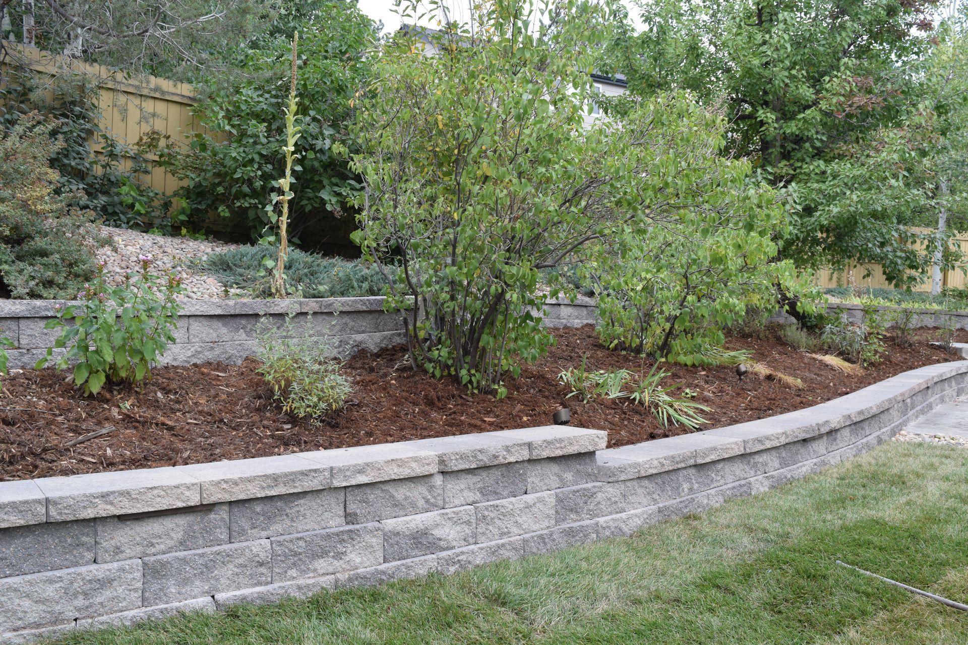 Stone retaining wall with plants, mulch, and lawn. Green foliage against a background of trees.