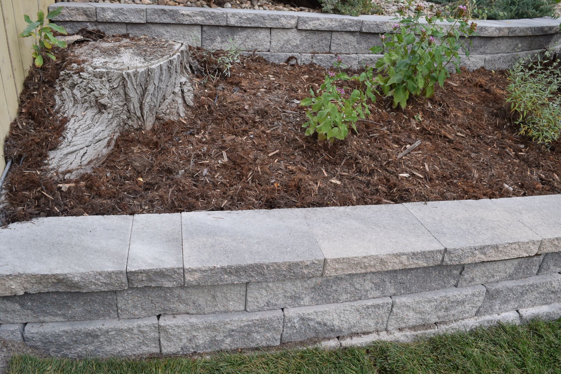 Stone block retaining wall with mulch, plants, and a tree stump.