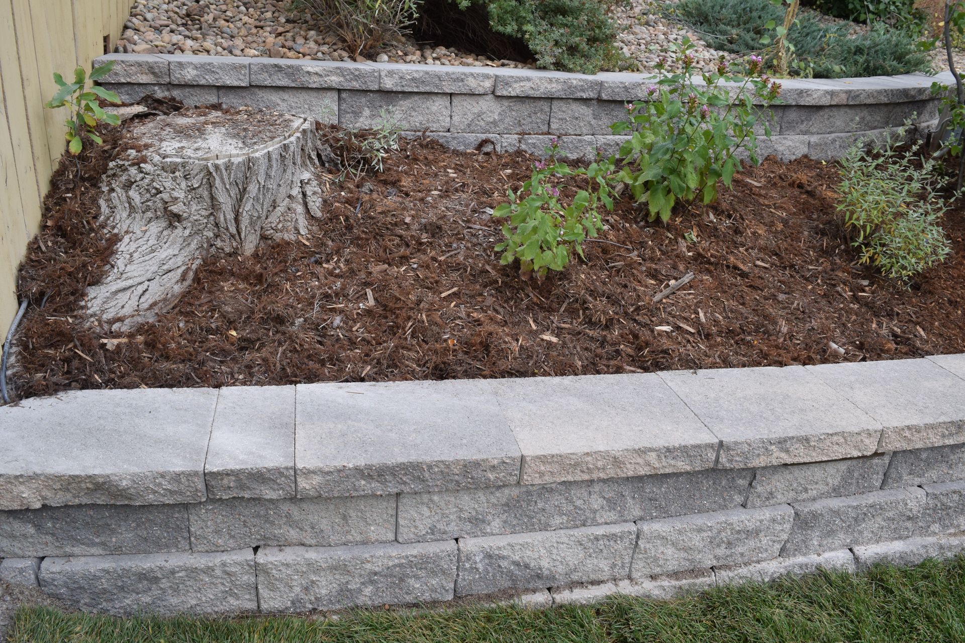Stone-edged raised garden bed with mulch and plants, a tree stump, and a yellow fence in the background.