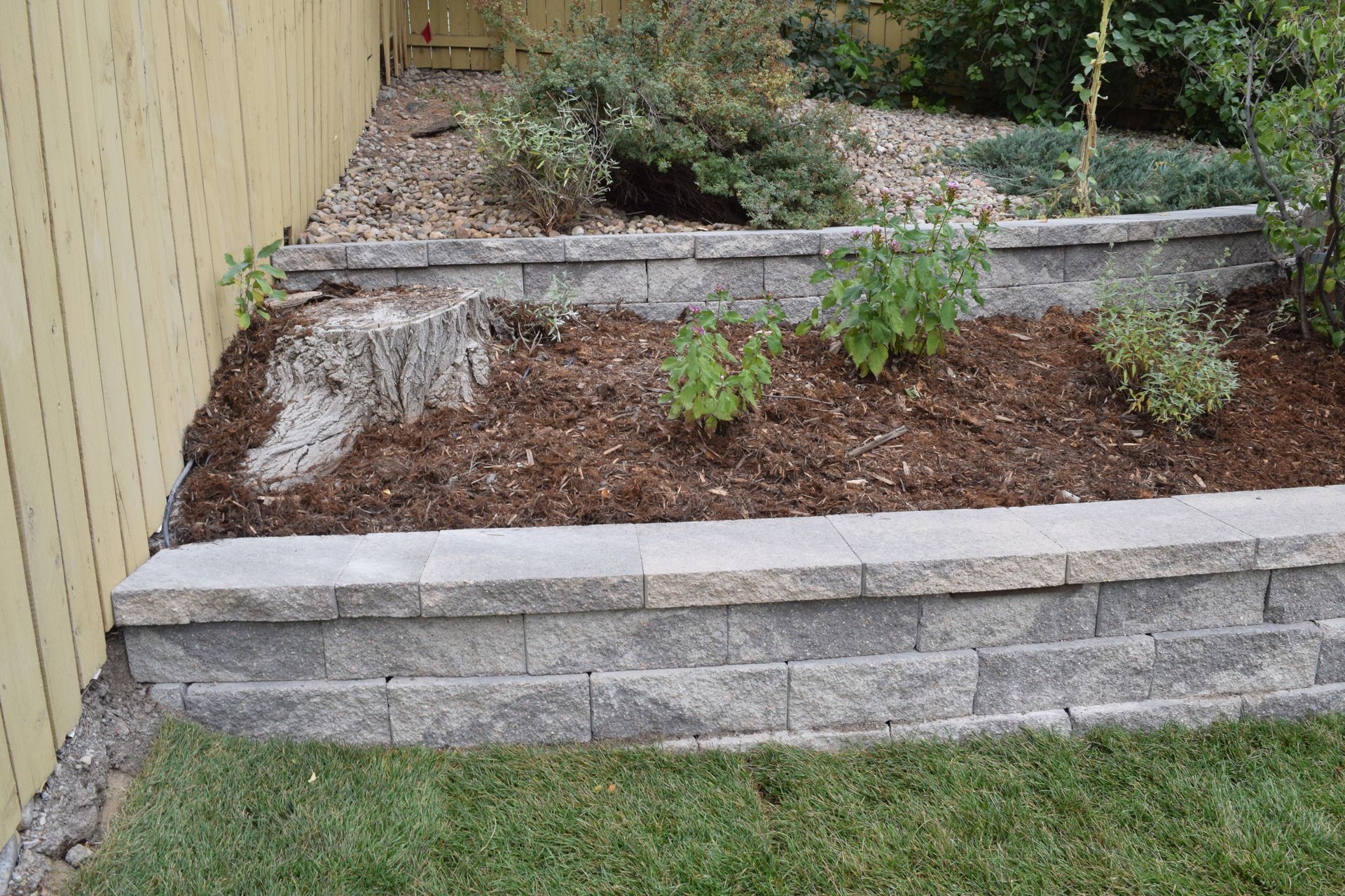 Raised garden bed with retaining wall, mulch, plants, and a tree stump near a wooden fence.