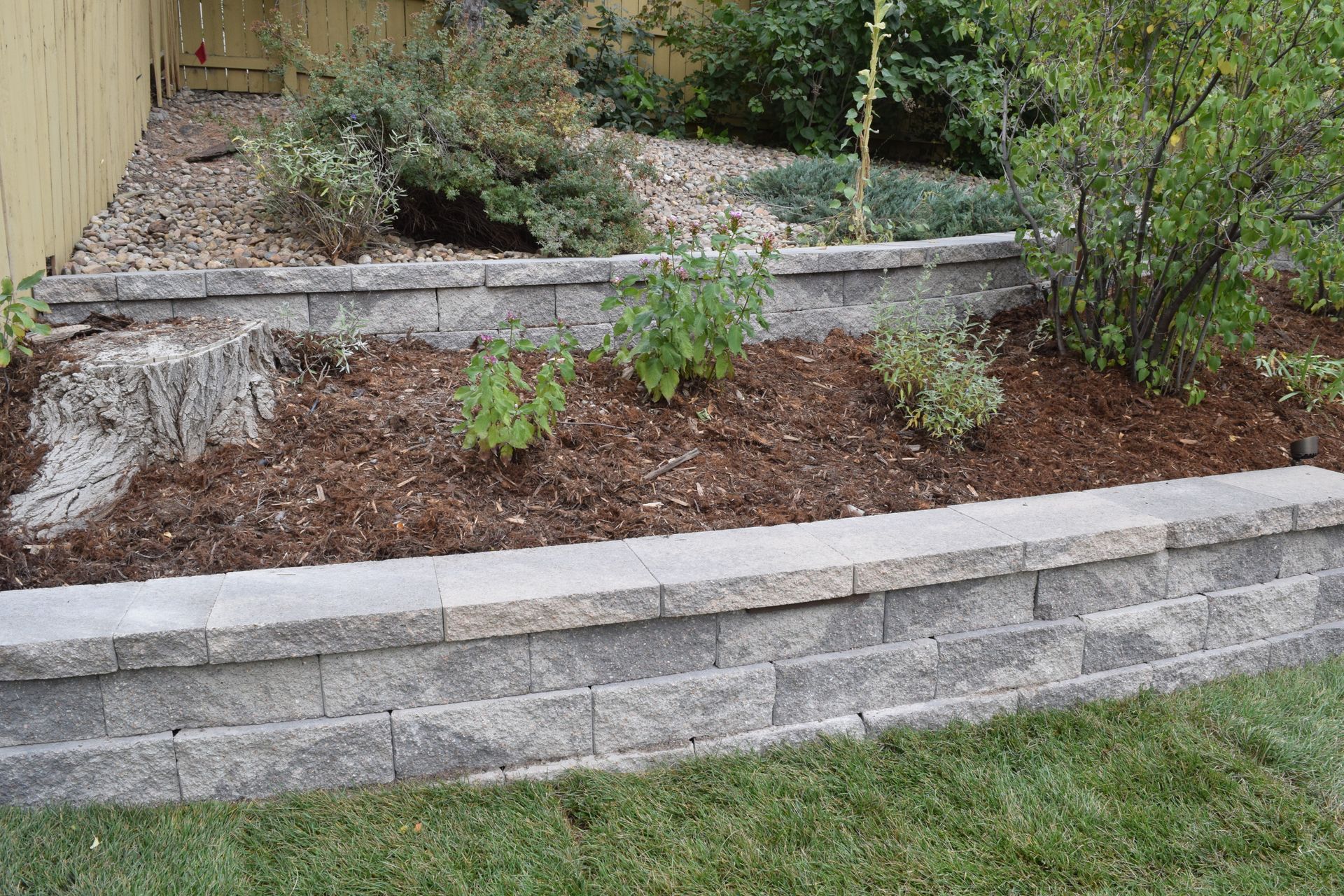 Stone retaining wall with a garden bed and tree stump. Green grass in foreground, plants, and shrubs.
