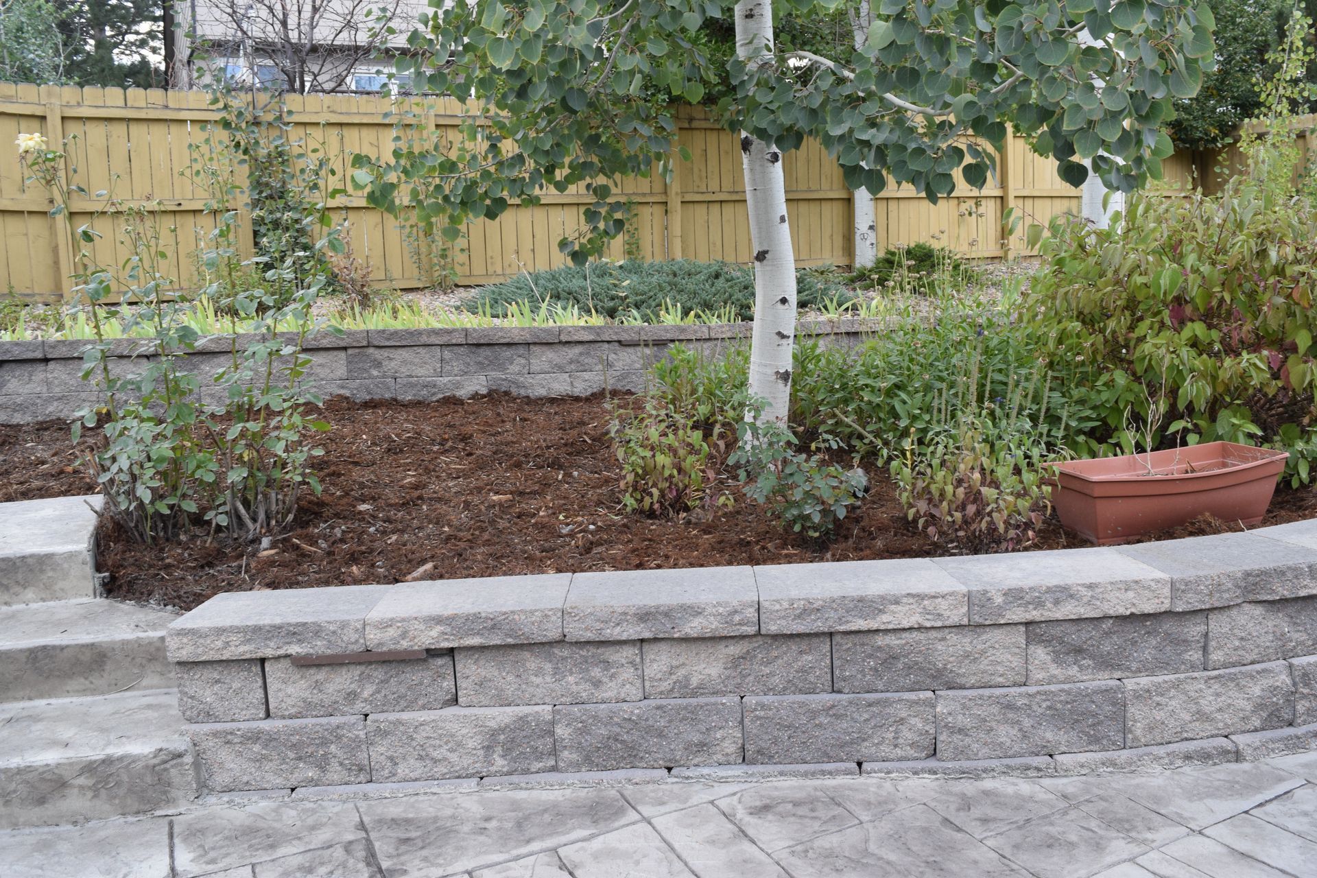 Stone retaining walls and steps in a garden with mulch, plants, and a tree.