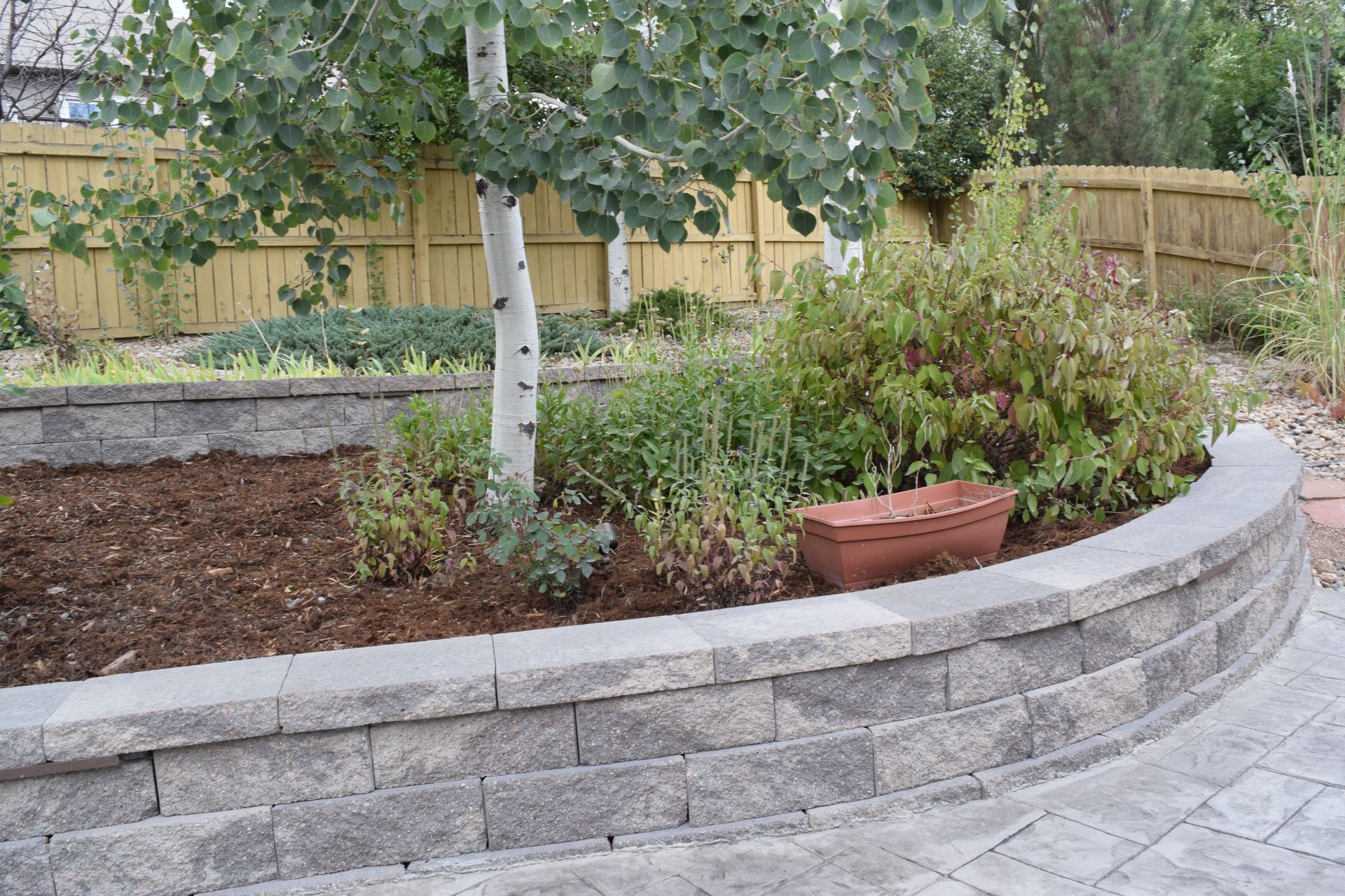 Curved retaining wall with plants and a tree in a garden, with a wooden fence background.