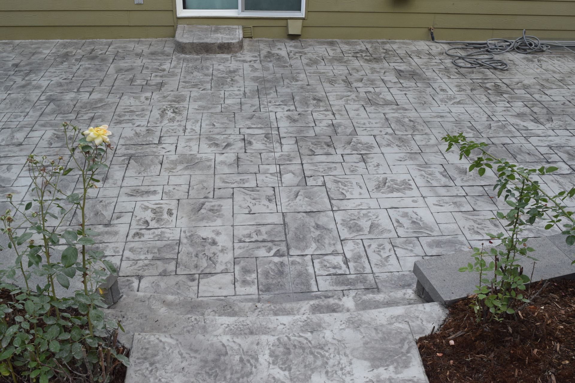 Concrete patio with steps, gray square pattern. Two small rose bushes on either side.