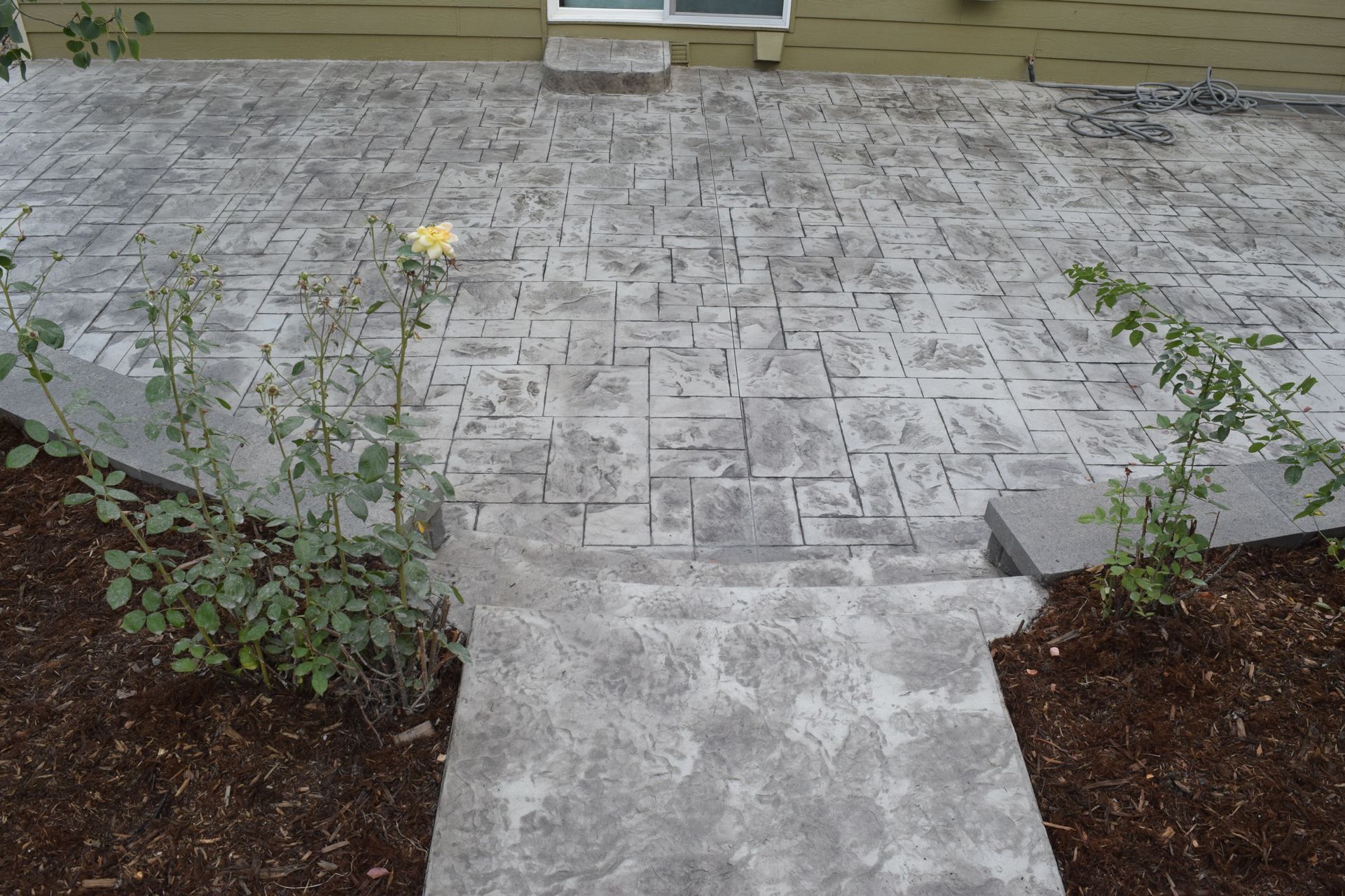 Stamped concrete patio with steps and two rose bushes.