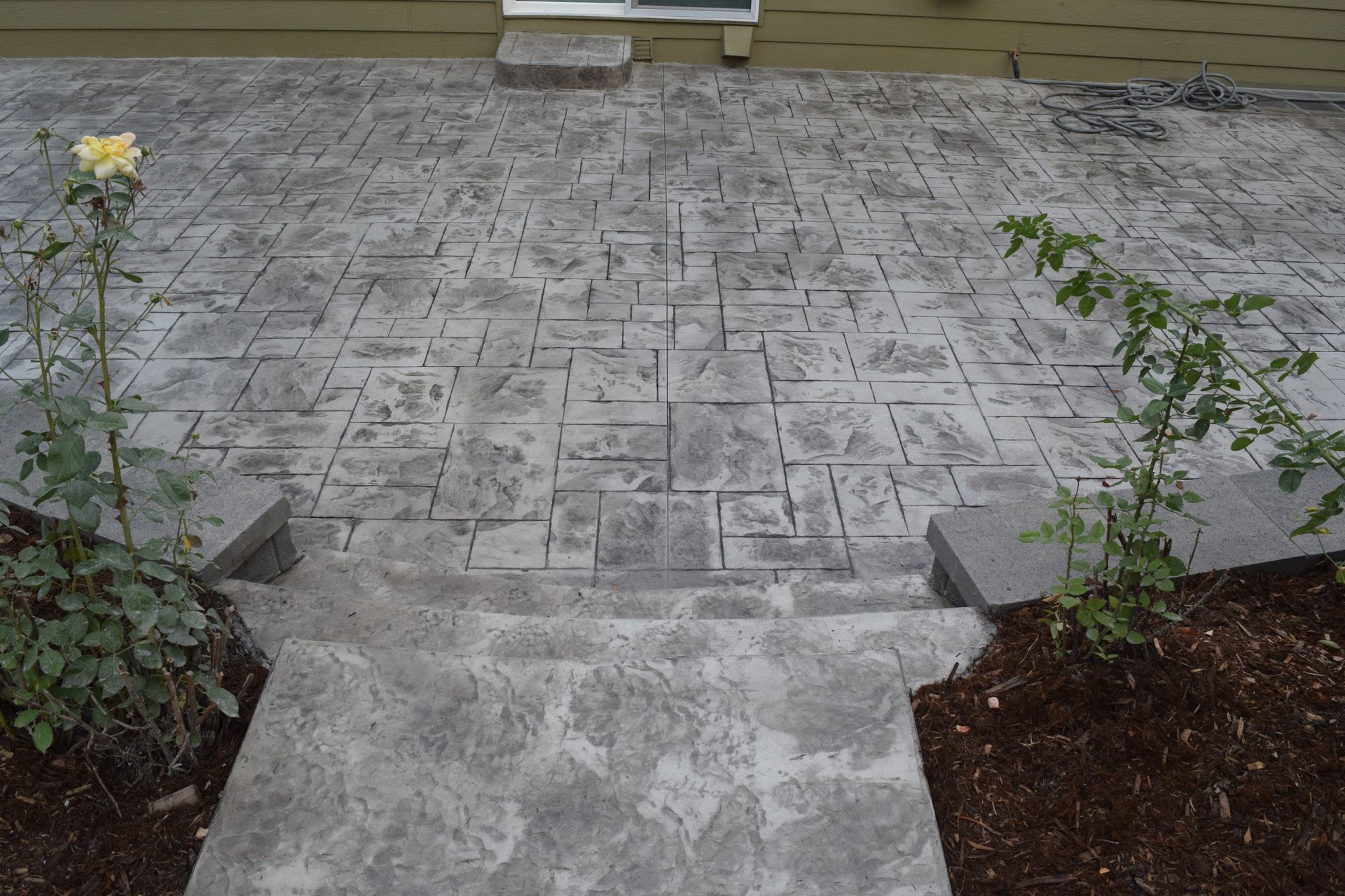 Gray stamped concrete patio with steps and two rose bushes.