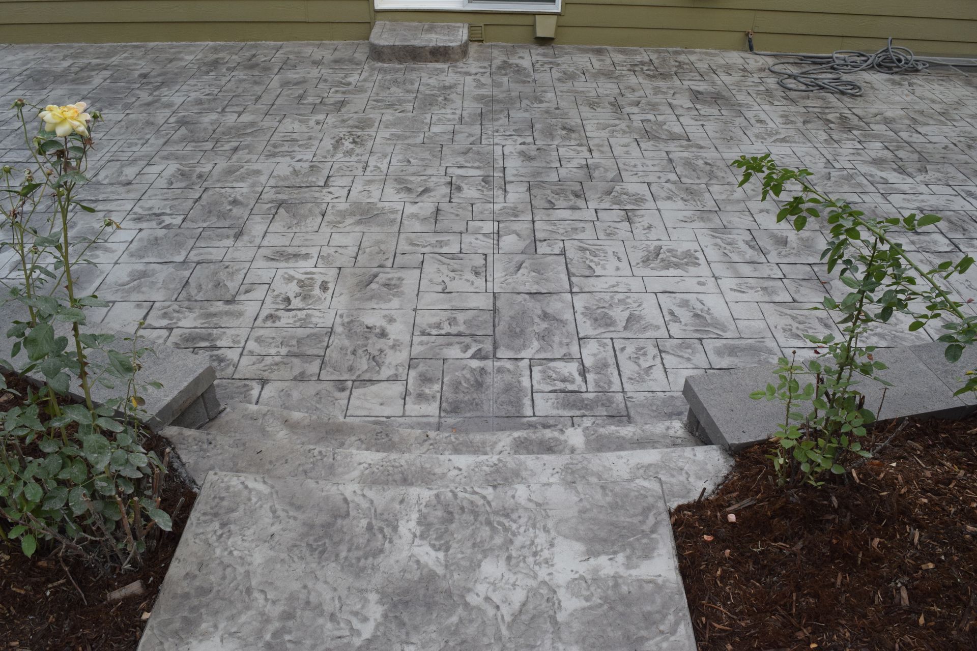 Concrete patio with textured, gray surface, steps, and small rose bushes.