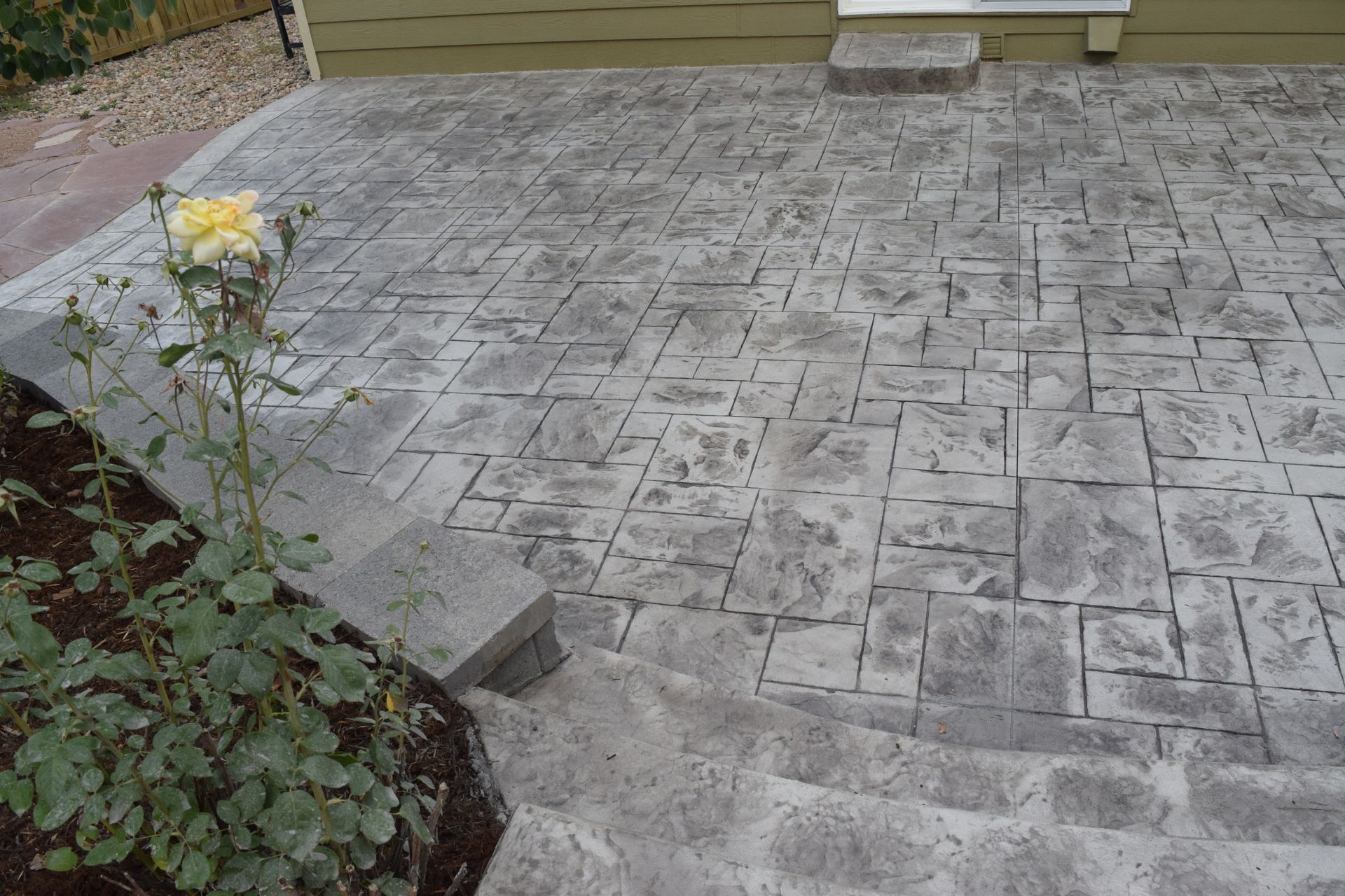 Grey stamped concrete patio with steps, next to a rose bush with a yellow flower.