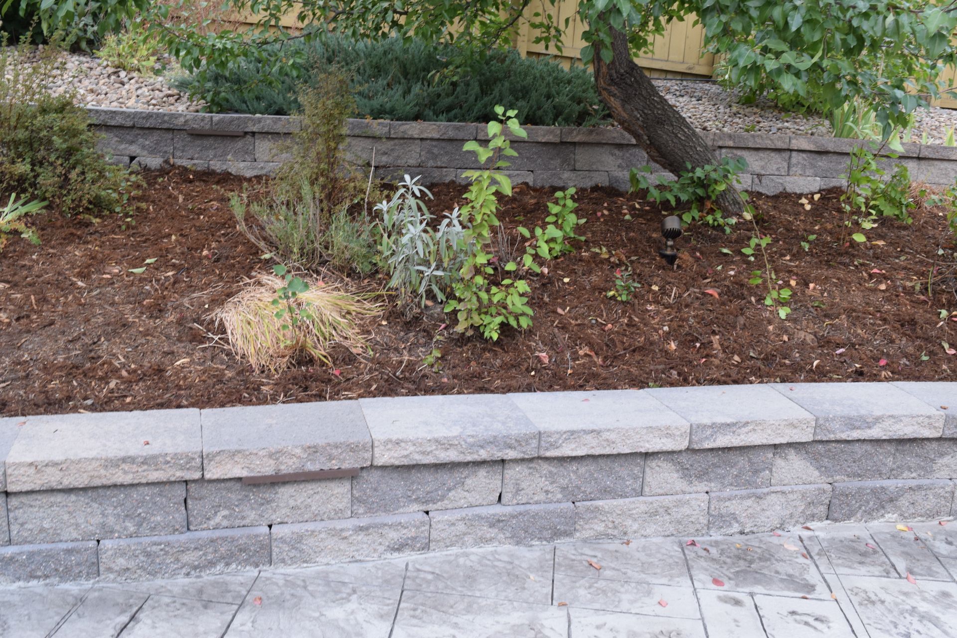 Retaining wall with tiered landscaping bed, various plants, and a tree trunk. Mulch and stone blocks.