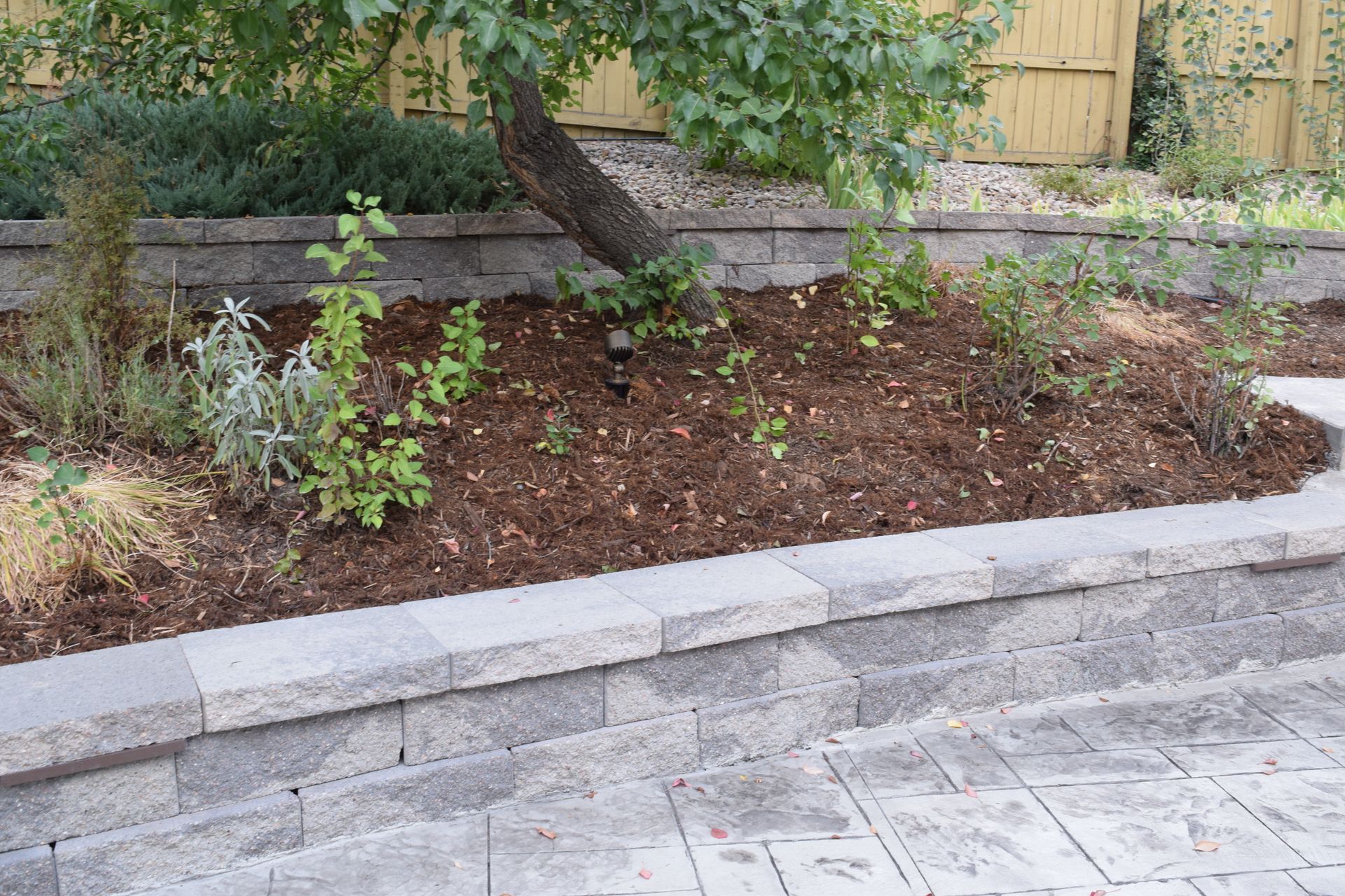 A garden bed with a retaining wall, a tree, and plants, in a backyard setting.