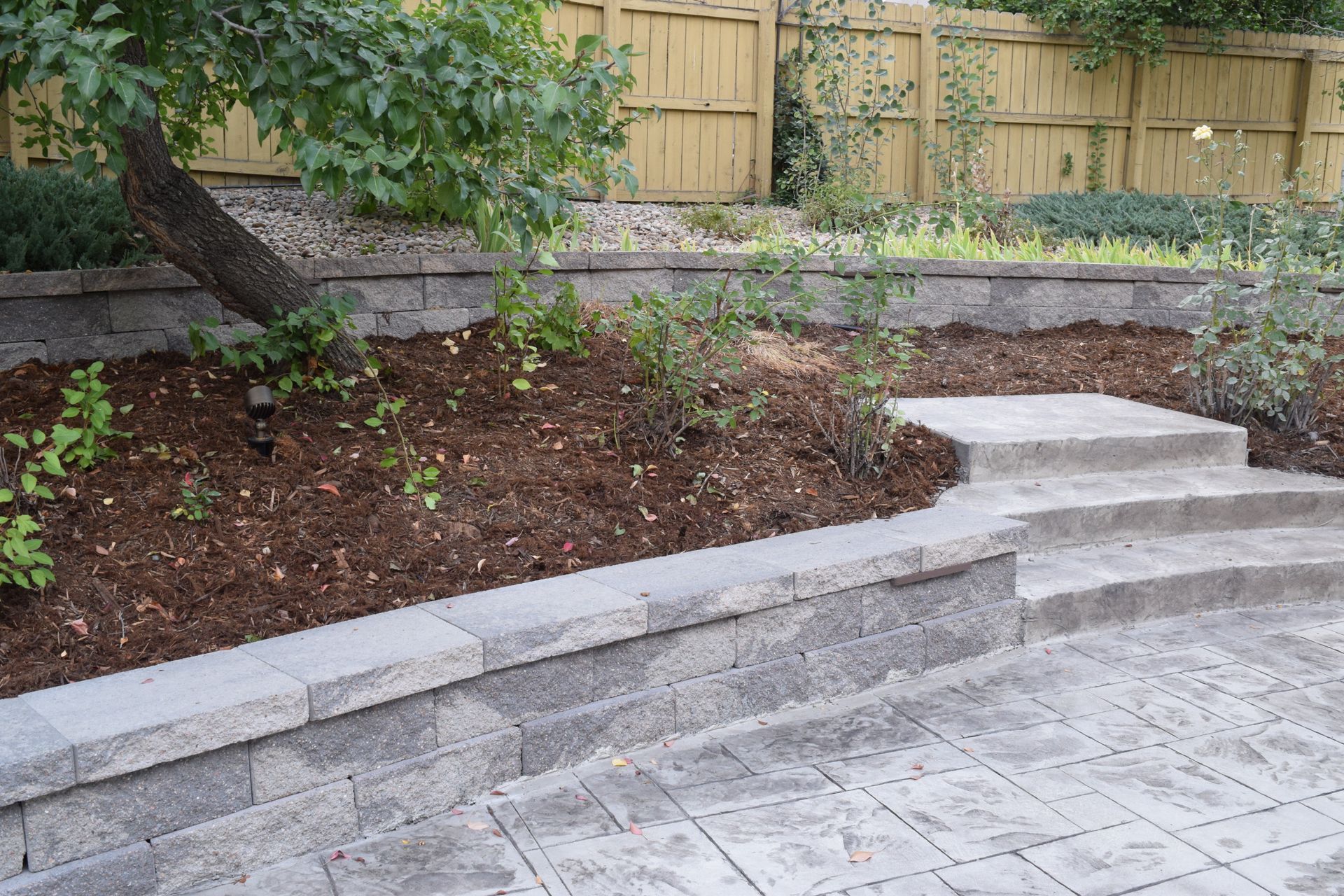 A retaining wall with steps, plants, and mulch in a backyard setting.