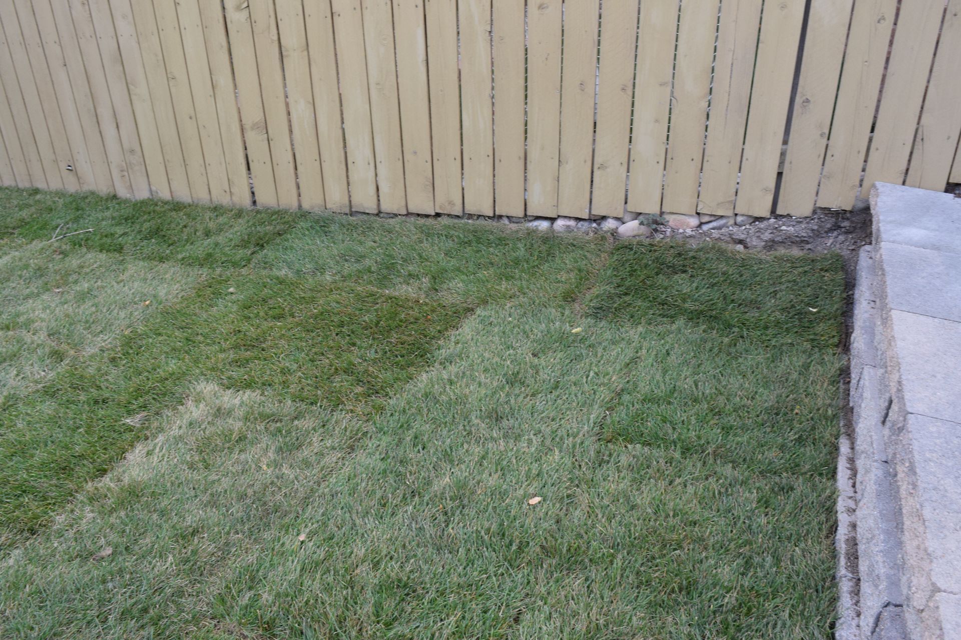 Green grass squares against a yellow fence, next to a stone step.