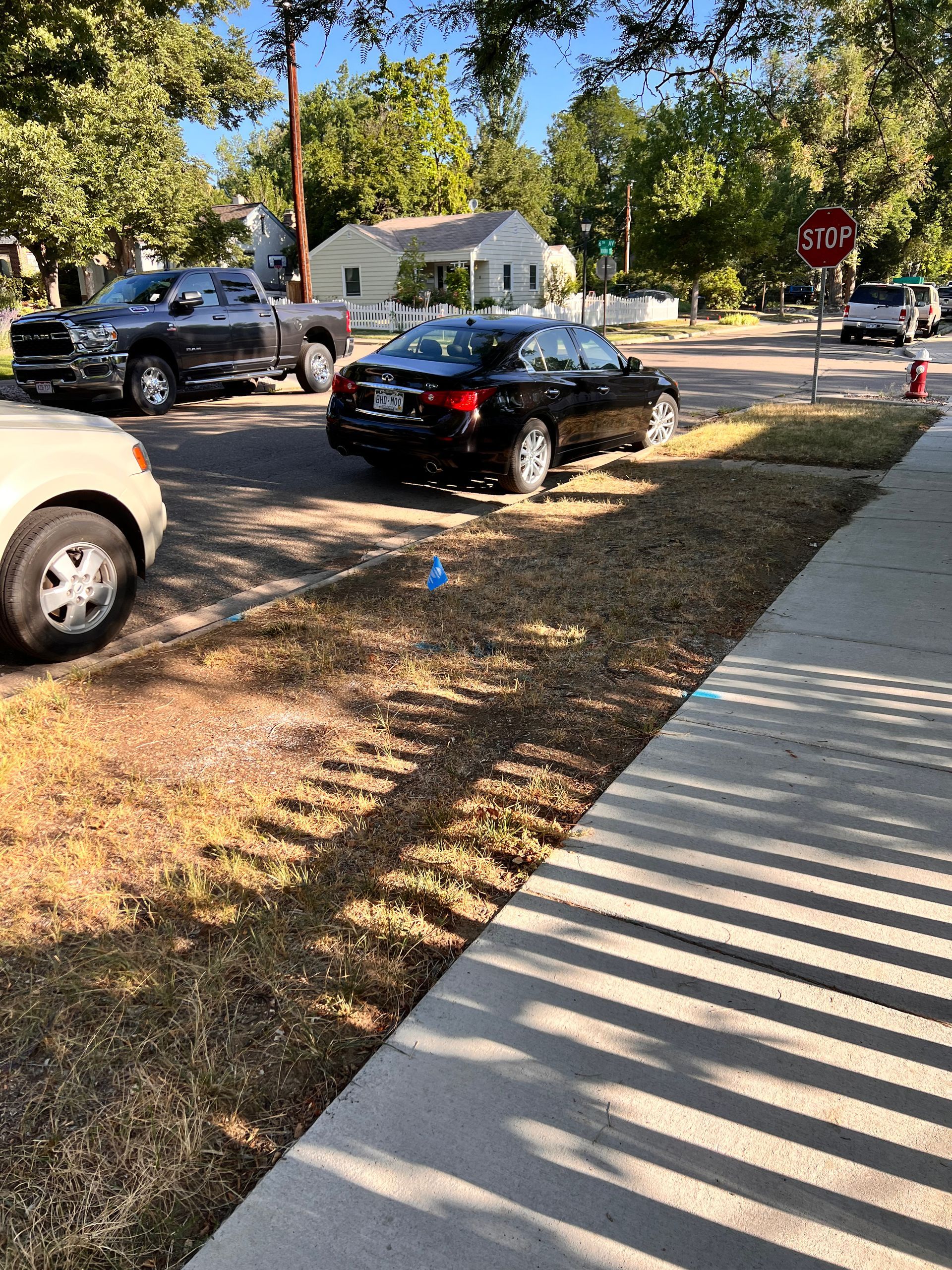 Cars parked on a street with a sidewalk. Dry grass, trees, and houses in the background. Stop sign visible.
