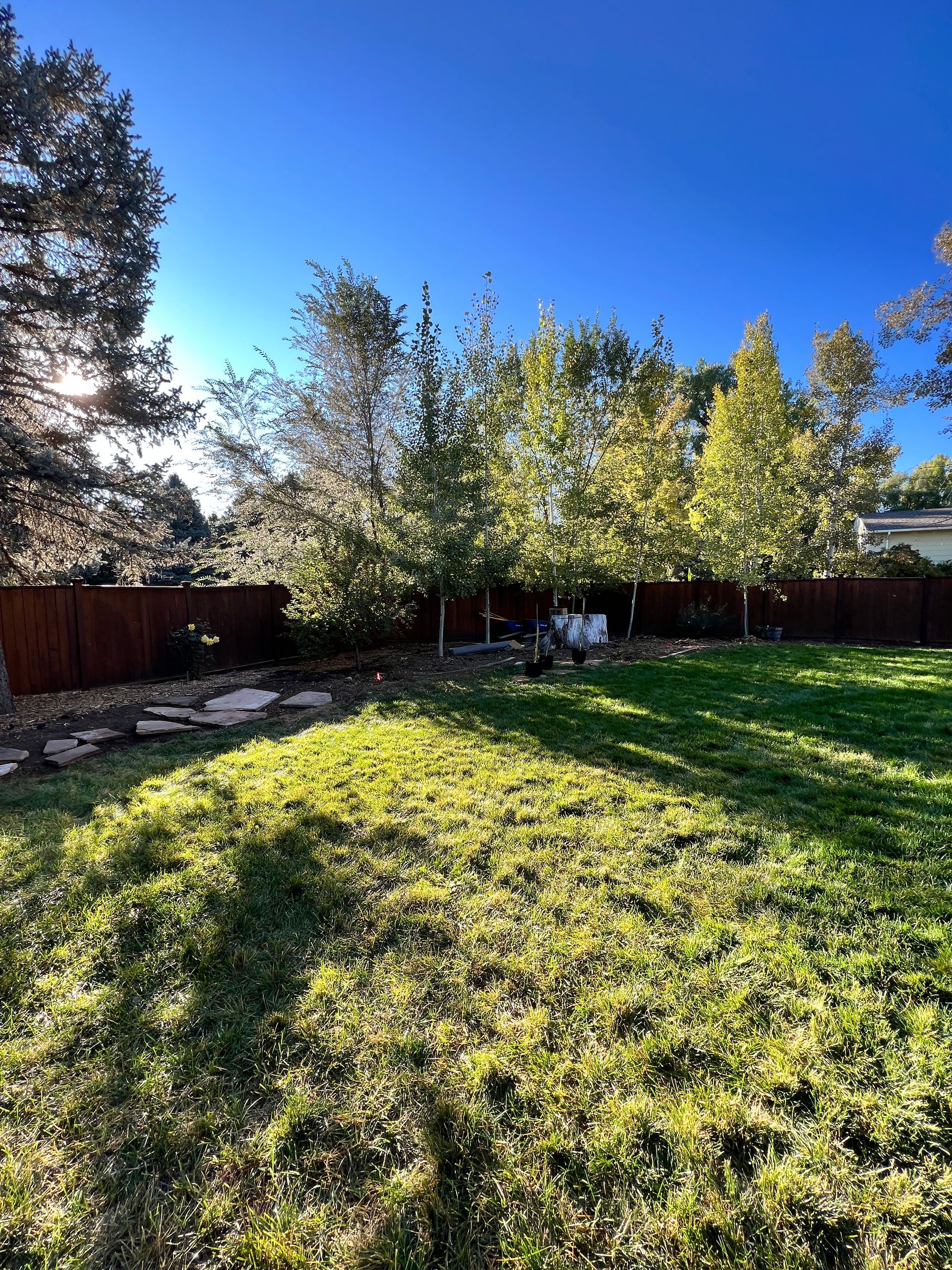 A sunny backyard with a wooden fence, trees, and green grass.