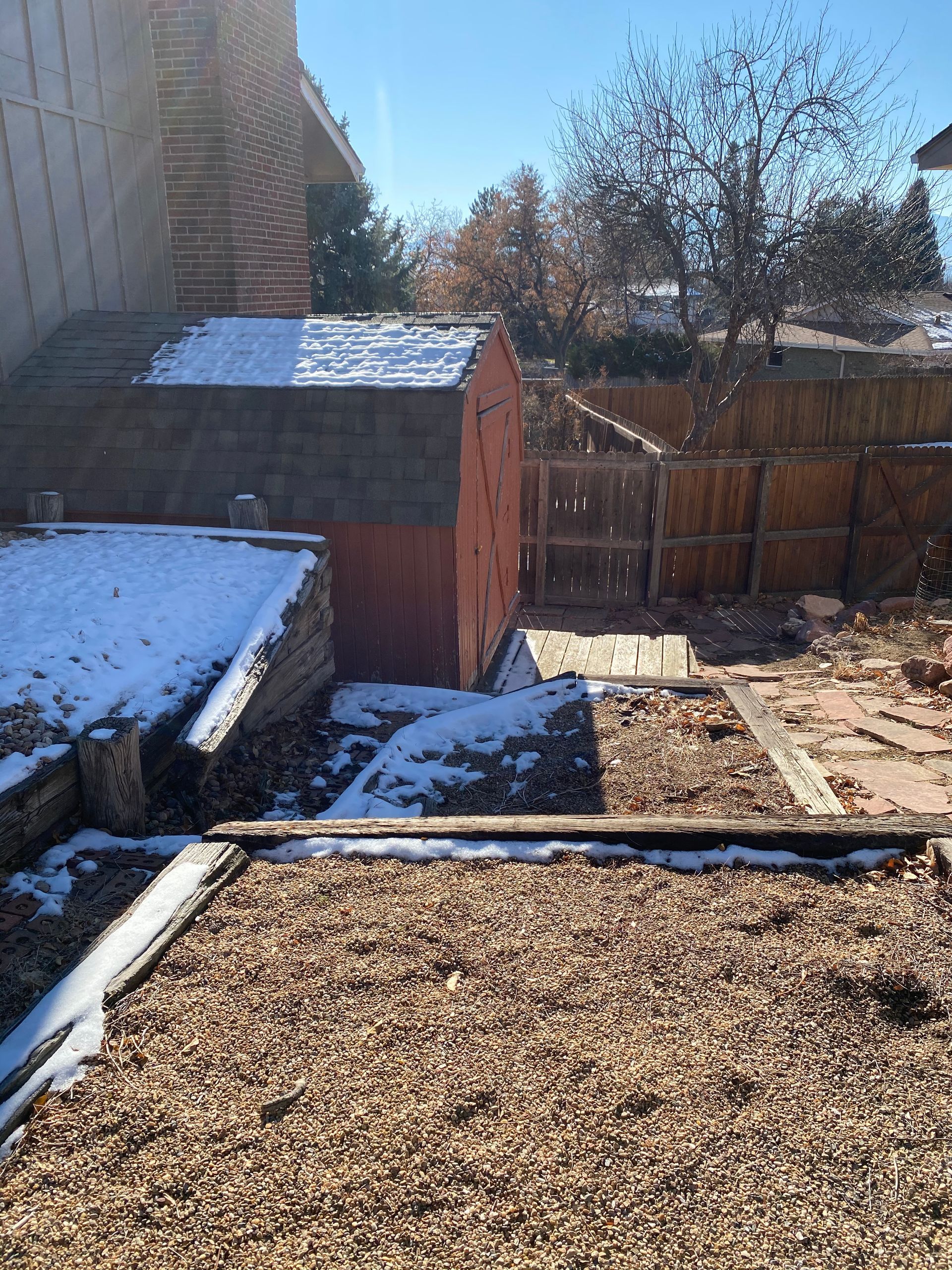 A snowy backyard with a red shed, brown leaves, and a wooden fence on a sunny day.
