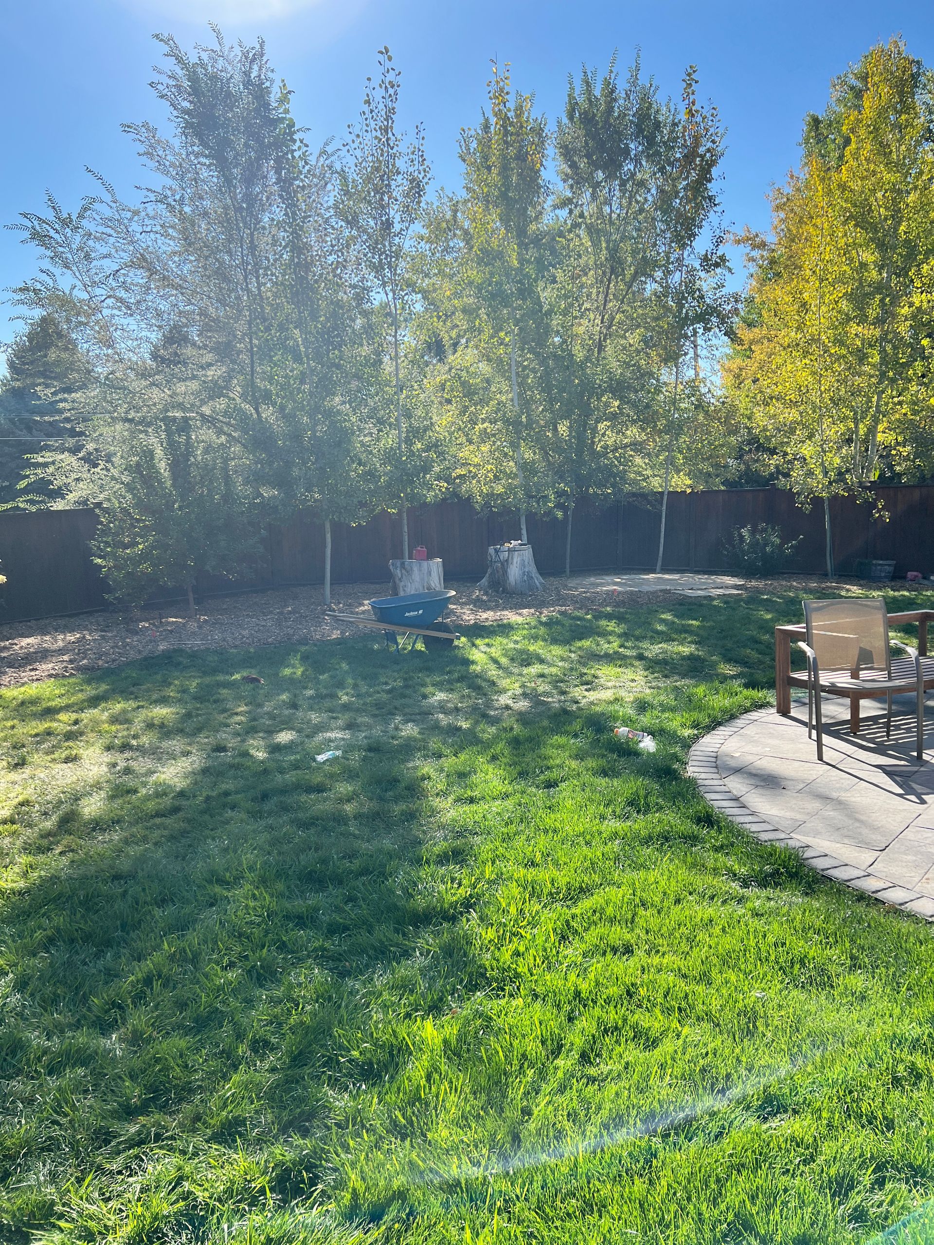 Backyard with green grass, trees, a fence, and a patio with chairs in sunlight.