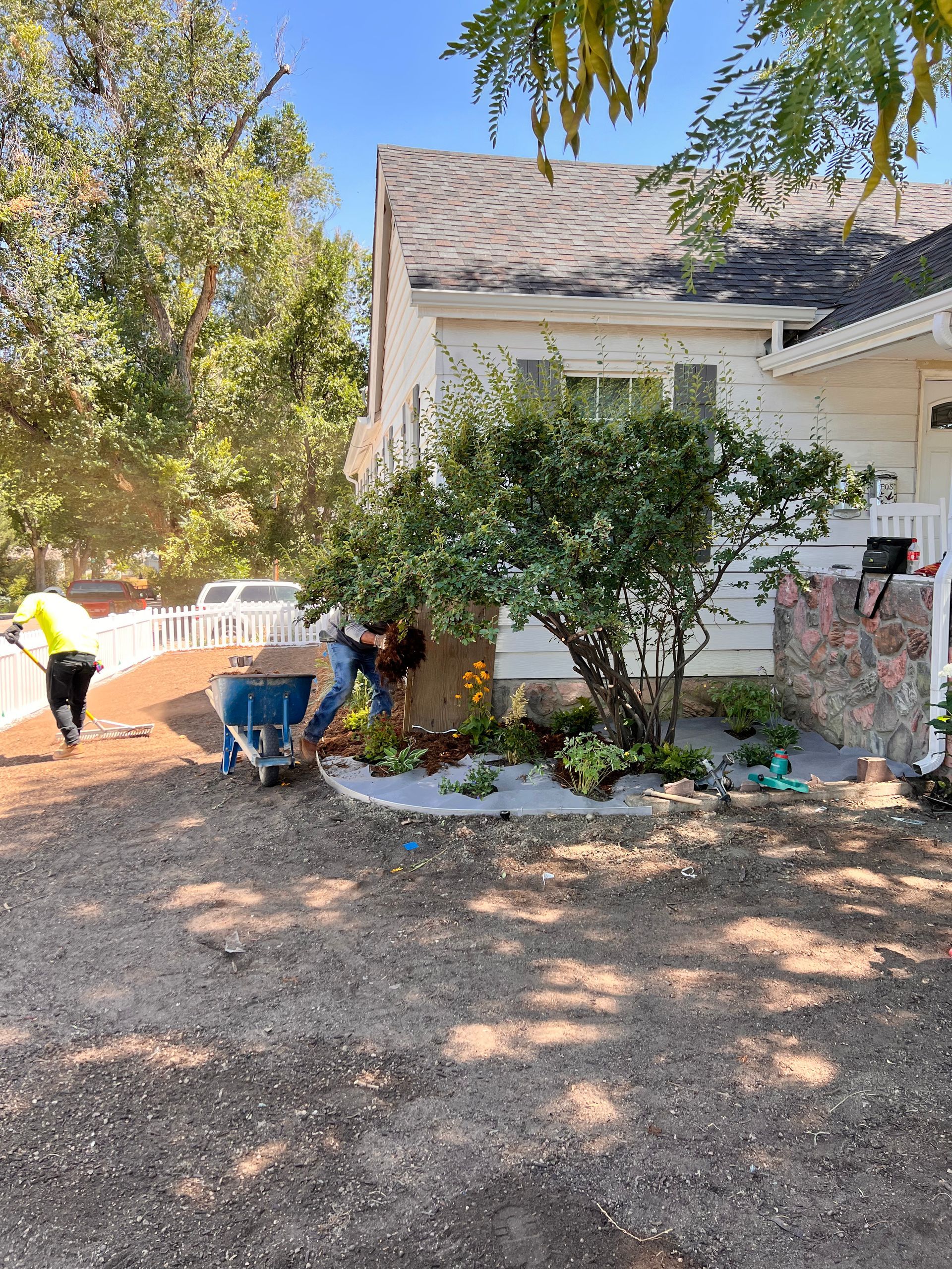 People landscaping a front yard with a bush, wheelbarrow, and shovel. Sunny day.