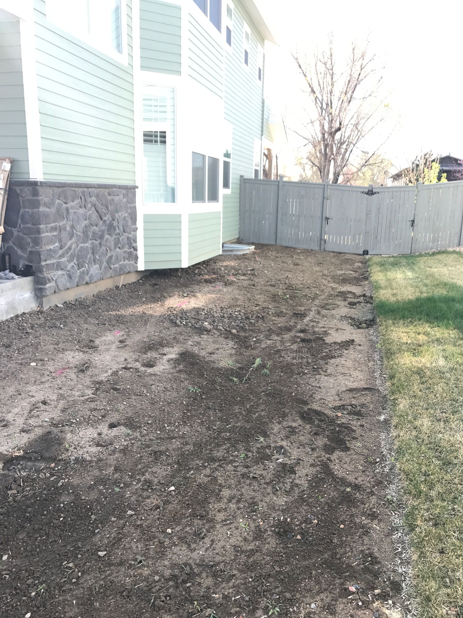 A bare dirt side yard beside a light green house with a gray fence and grass.