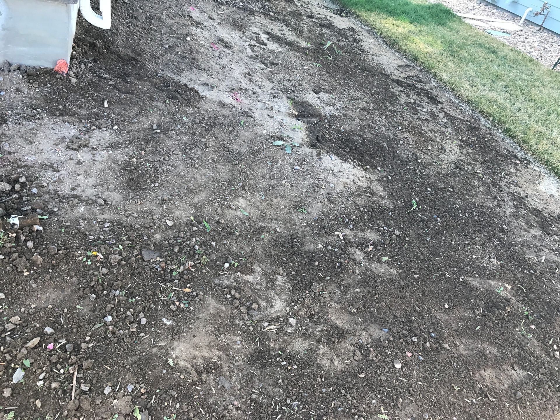 Bare, prepared earth patch next to a strip of green grass and a white structure, likely for planting.