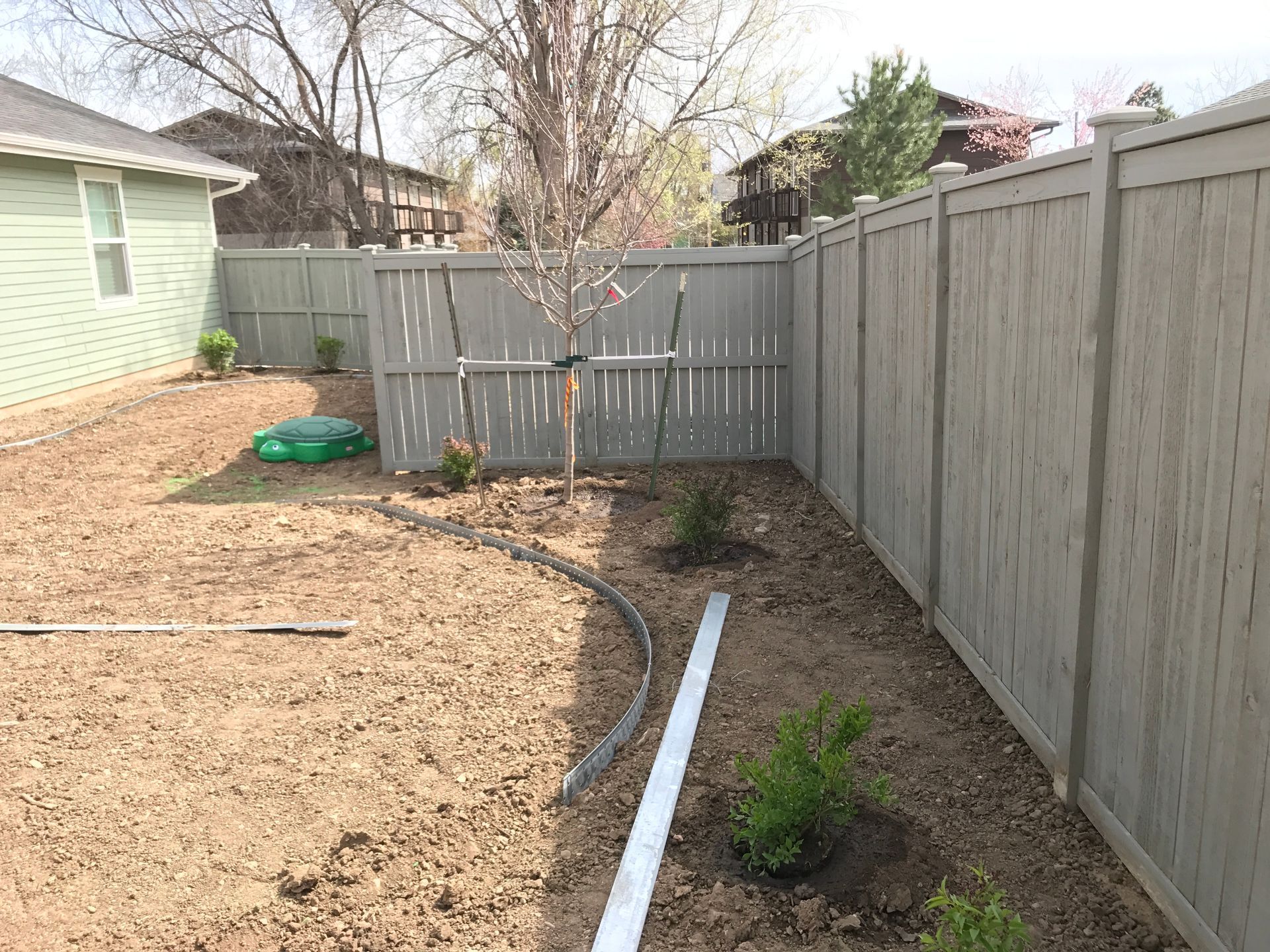 Backyard with gray fence, bare soil, young tree, and small plants.