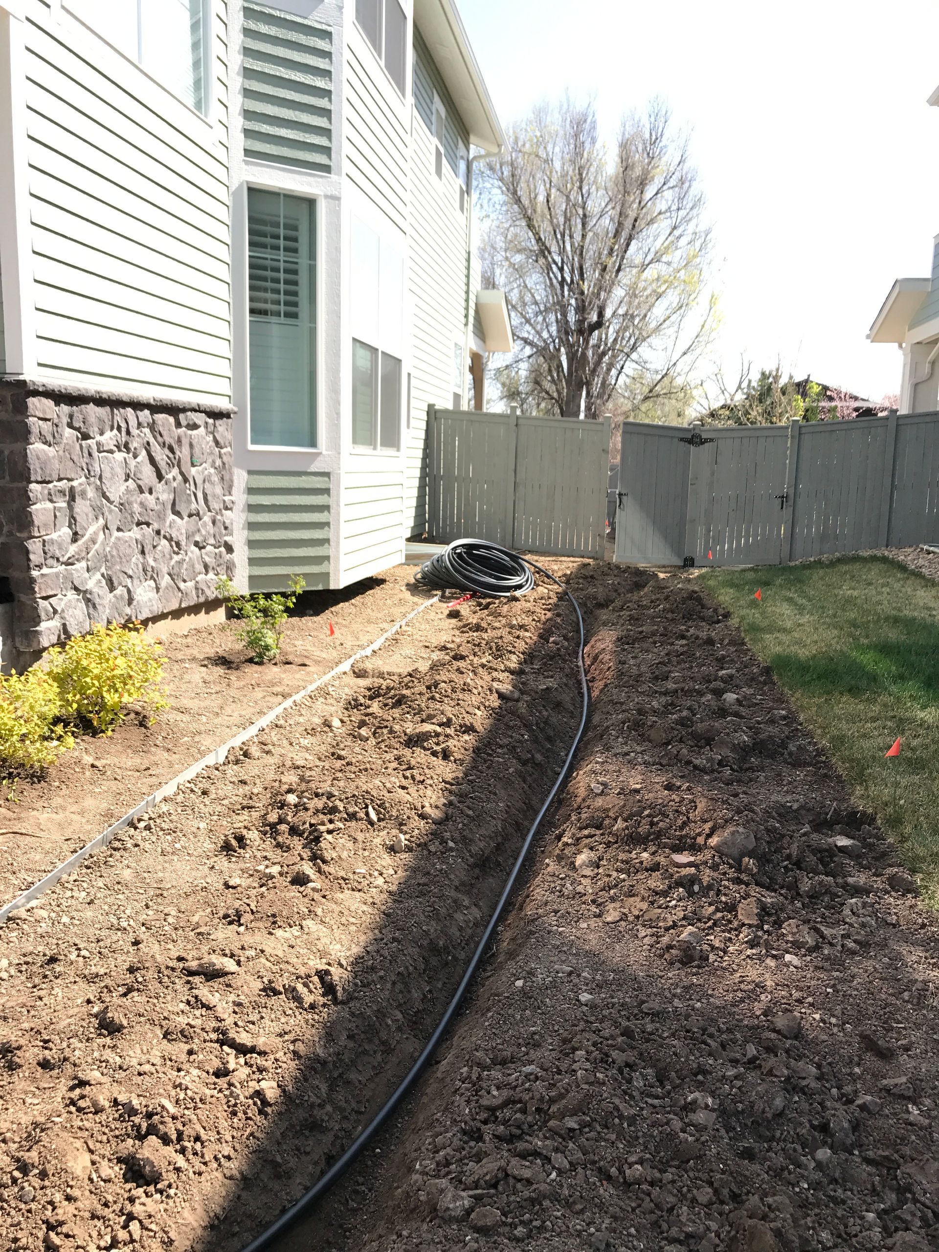 Long, narrow garden bed with black irrigation tubing, next to a building and fence.
