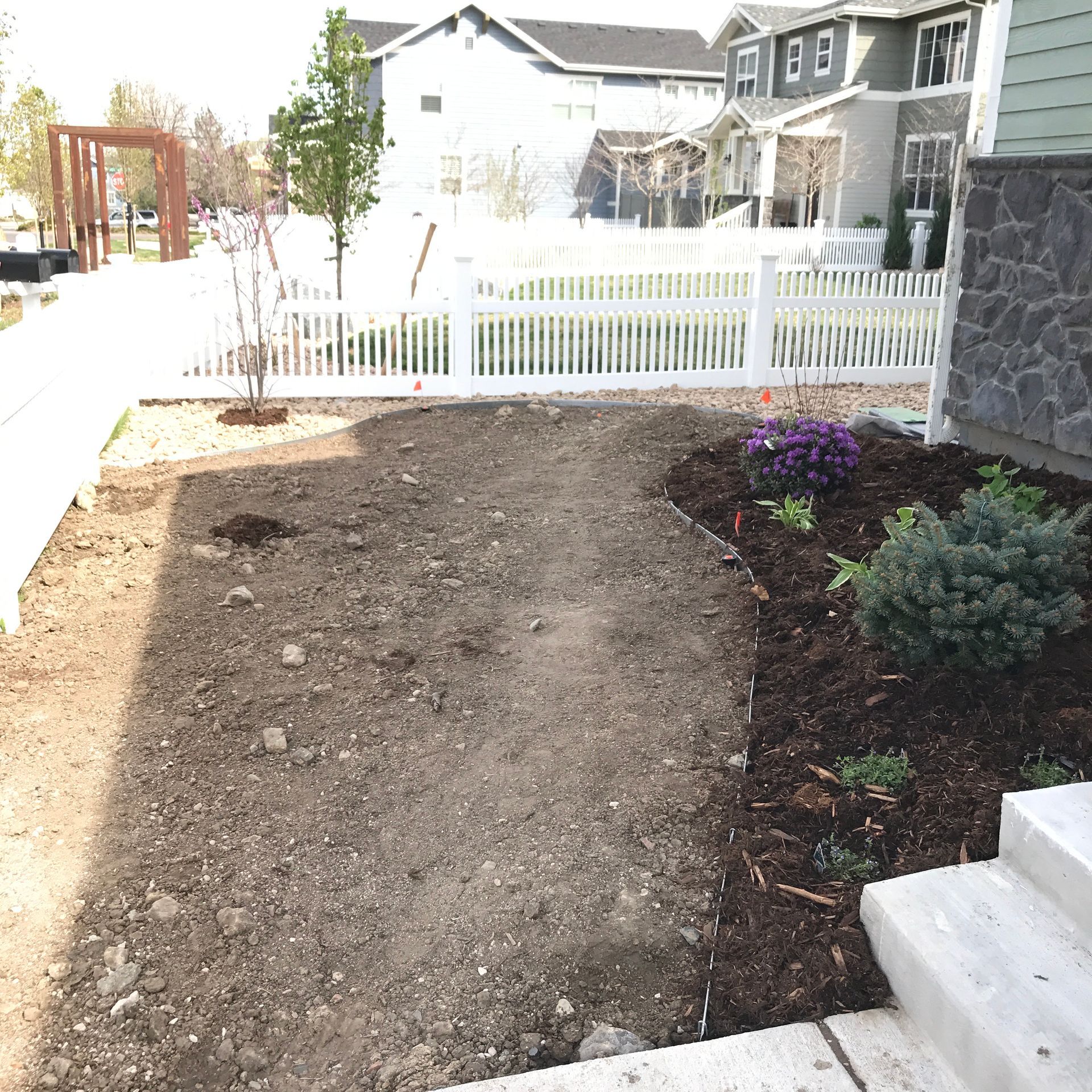 Front yard with dirt, newly planted shrubs, and a white picket fence.