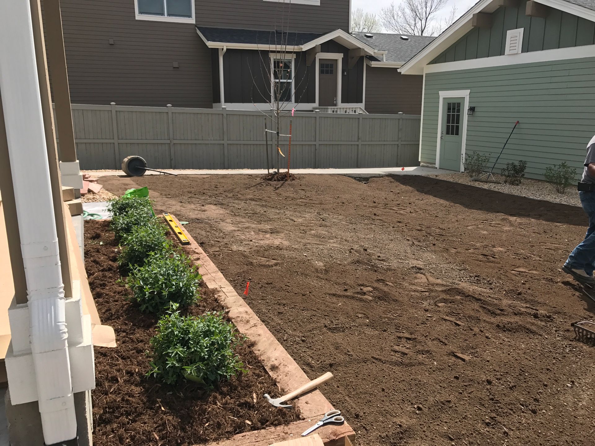 Backyard garden with recently planted shrubs, dirt, and a small tree.