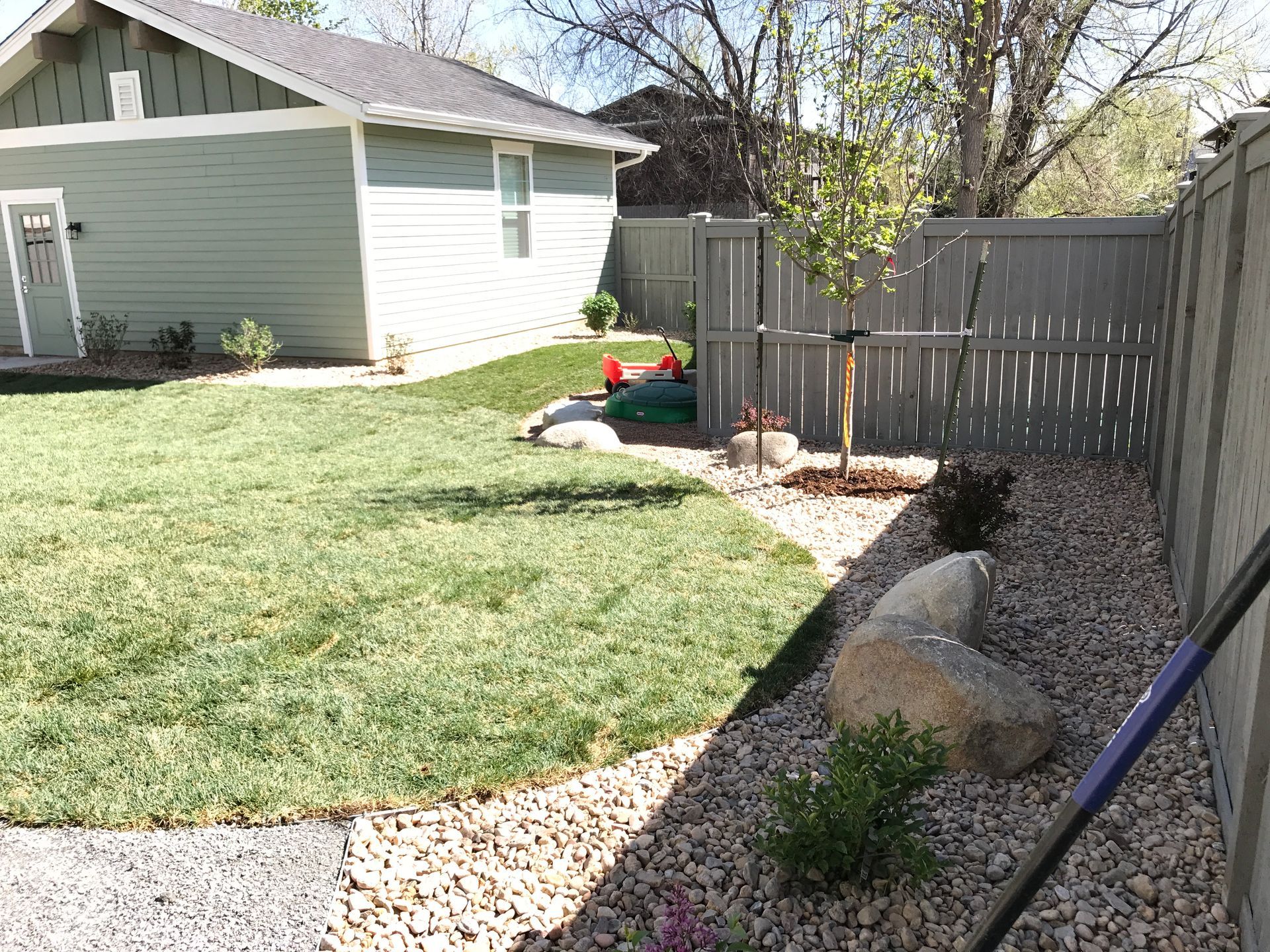Green backyard with a newly planted tree, stone border, and a gray fence.