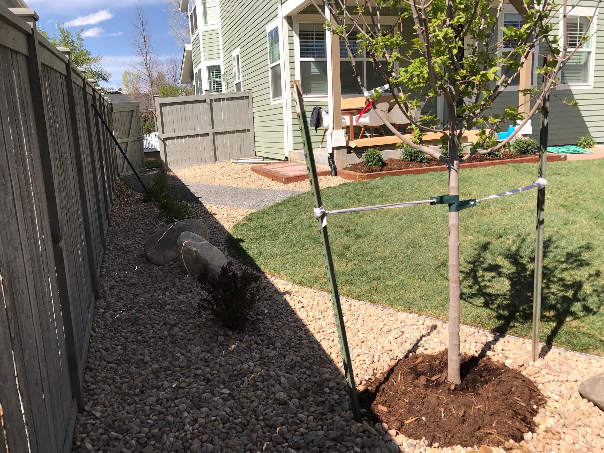 Backyard with a gravel path, a fence, a tree supported by stakes, and a grassy area.
