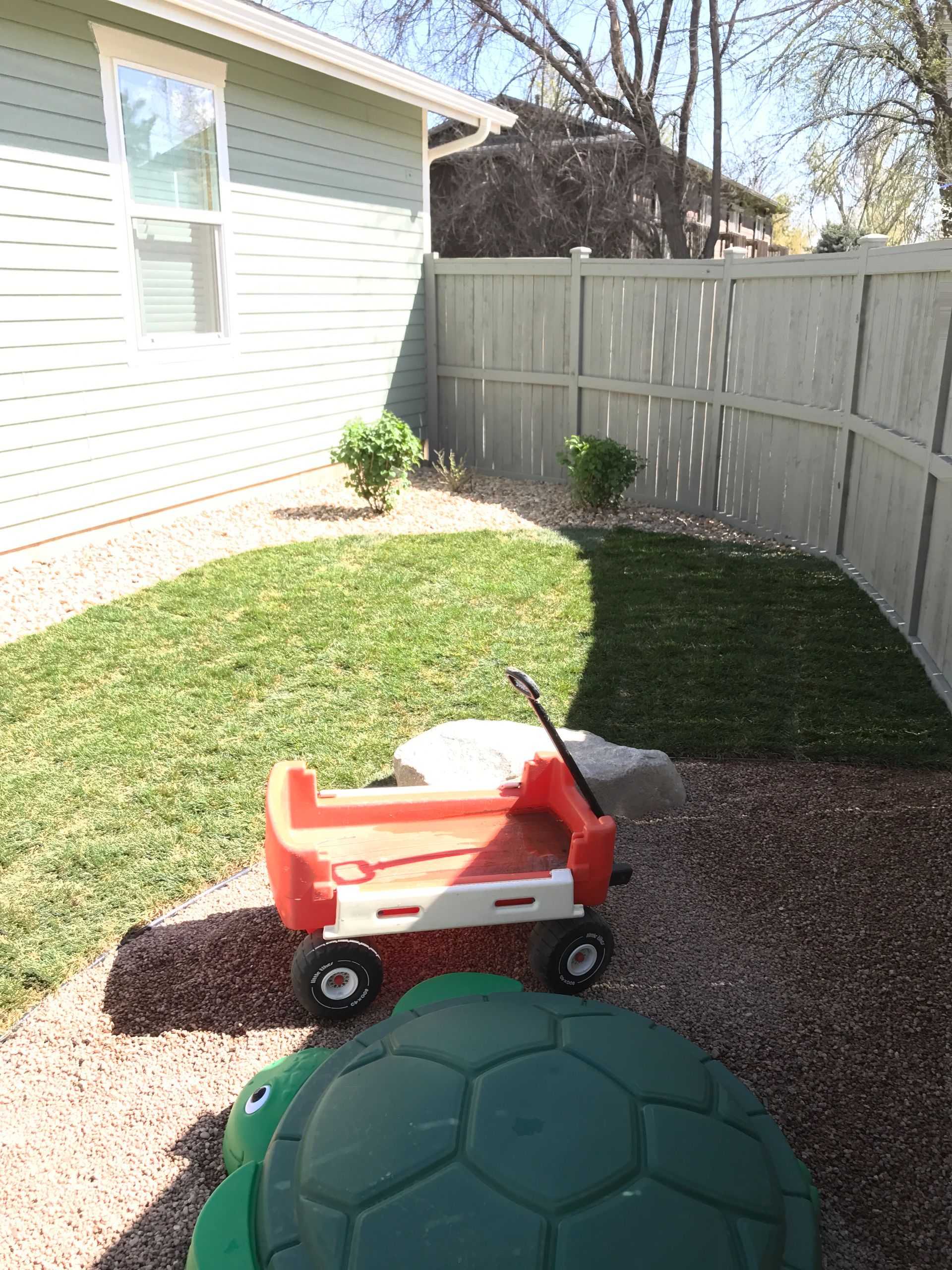 Red wagon and turtle toy on lawn, near a house and fence.